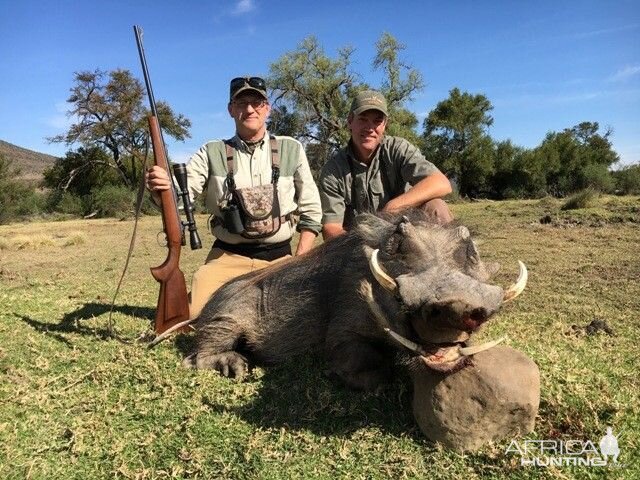 Hunting Warthog in South Africa