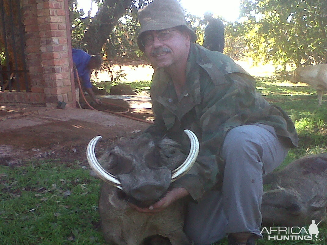 Hunting Warthog in South Africa