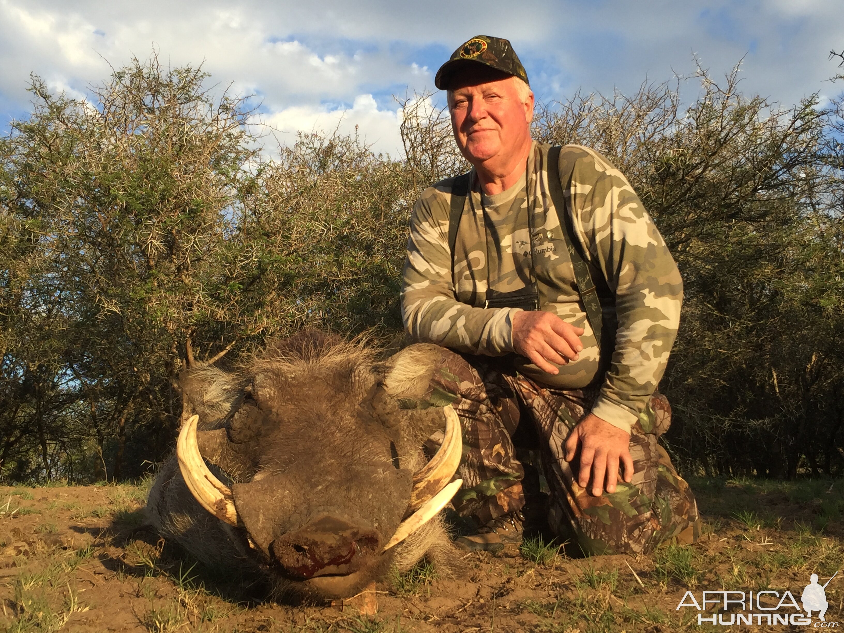 Hunting Warthog in South Africa