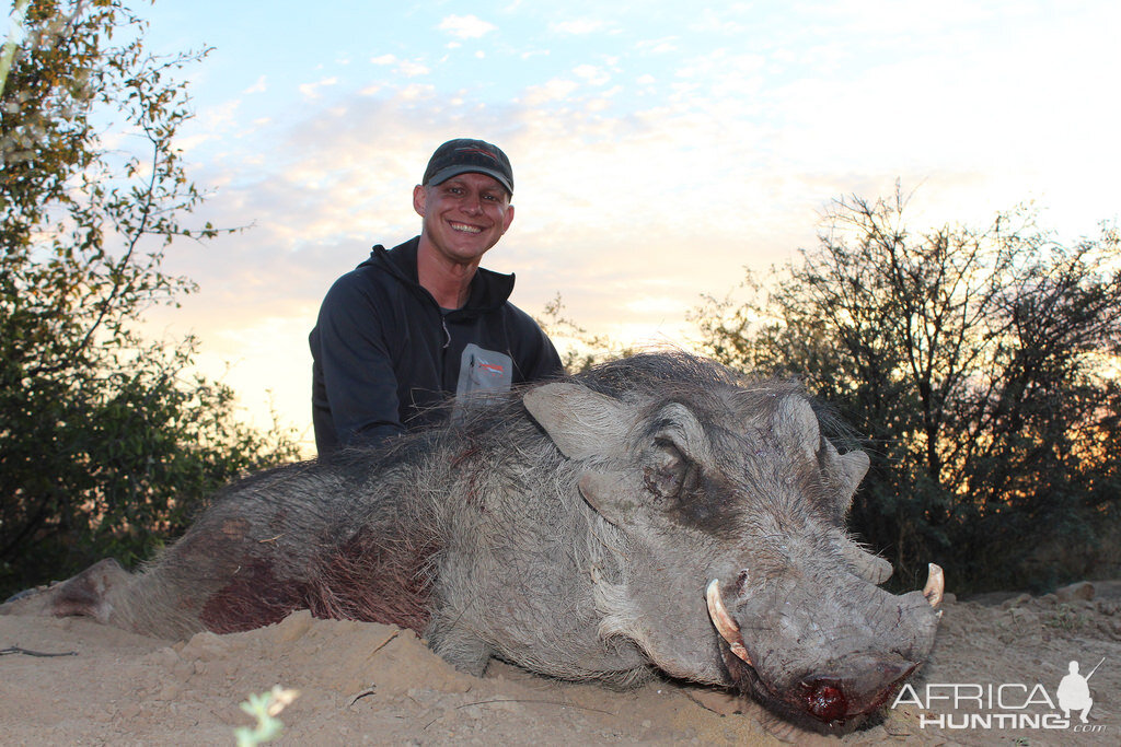 Hunting Warthog in South Africa