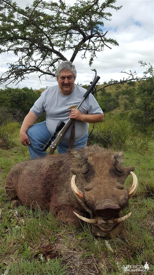 Hunting Warthog in South Africa