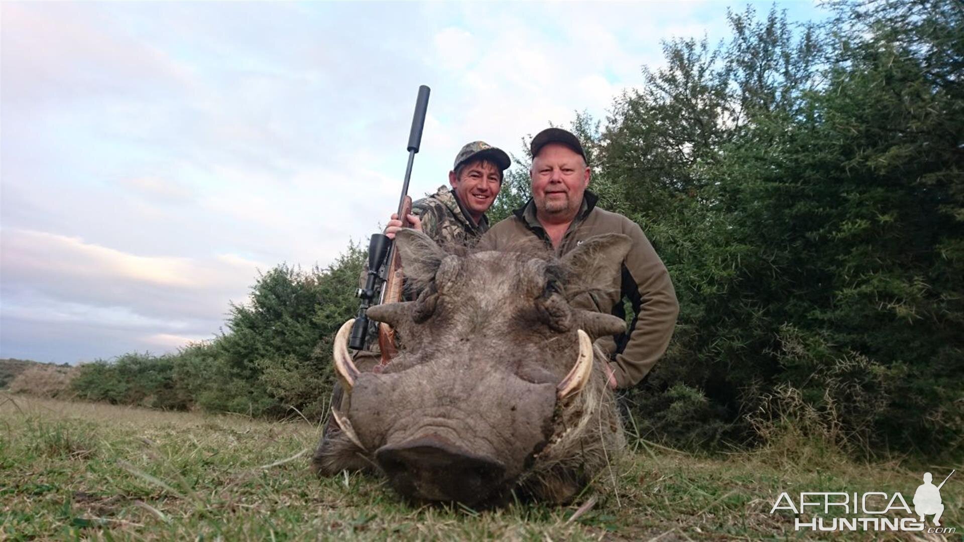 Hunting Warthog in South Africa