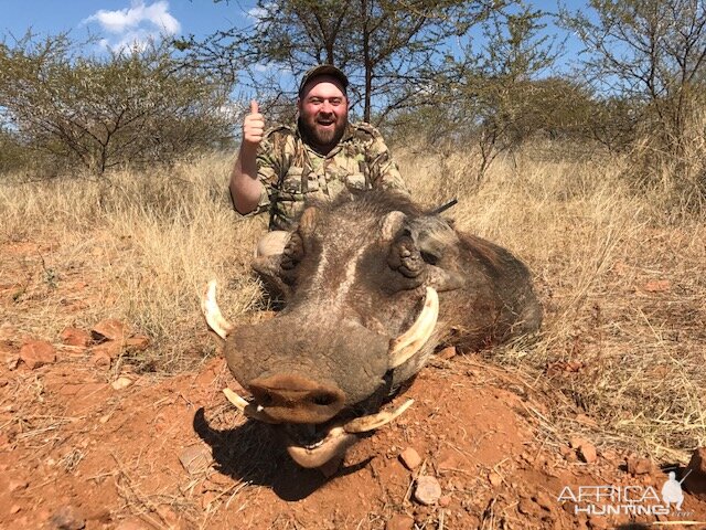 Hunting Warthog in South Africa