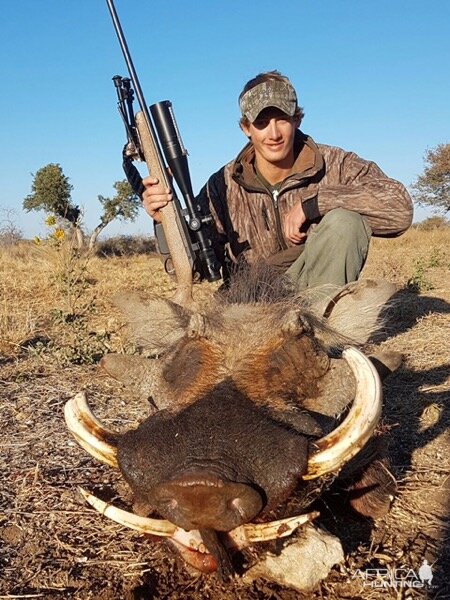 Hunting Warthog in South Africa