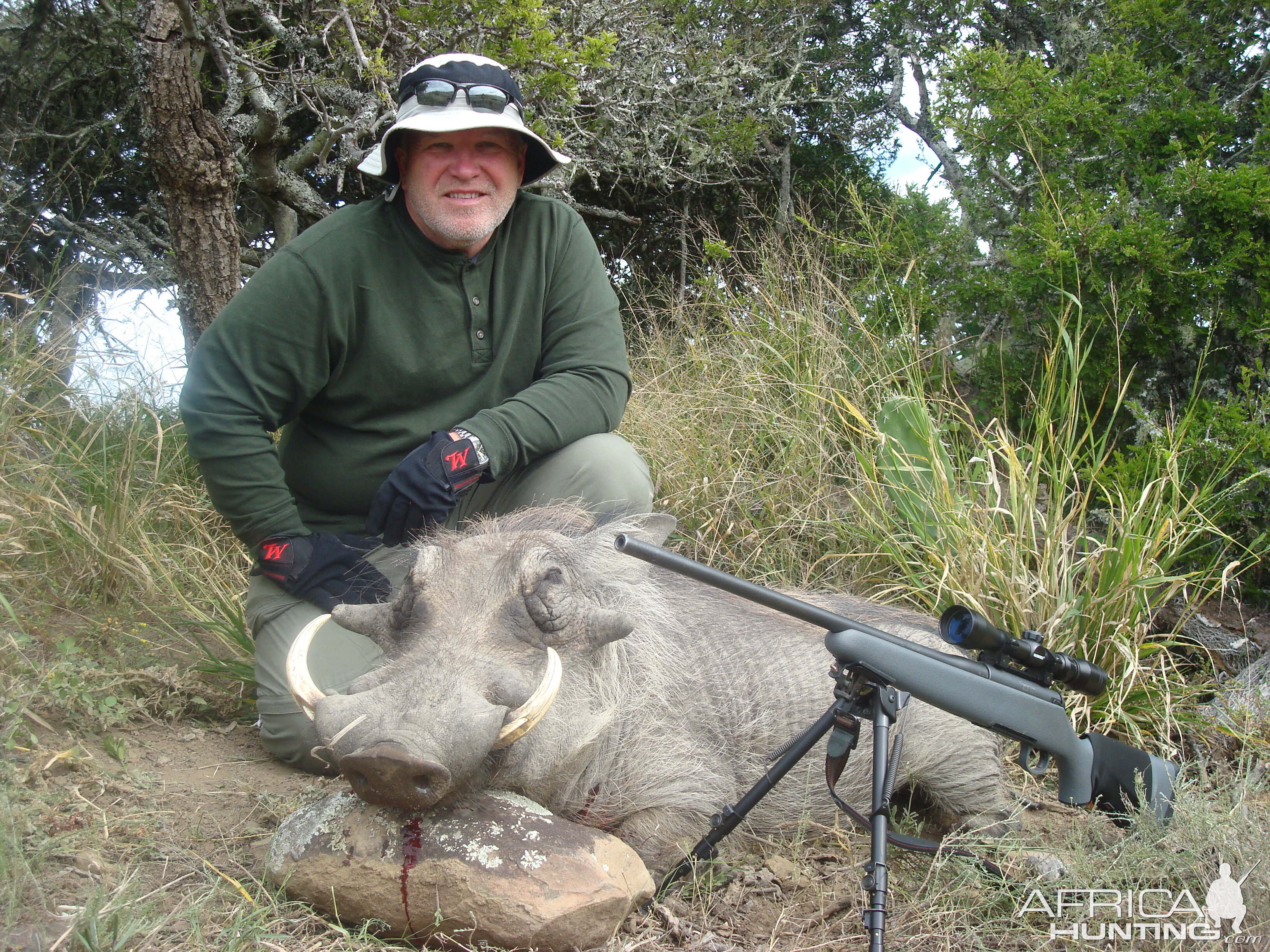 Hunting Warthog in South Africa