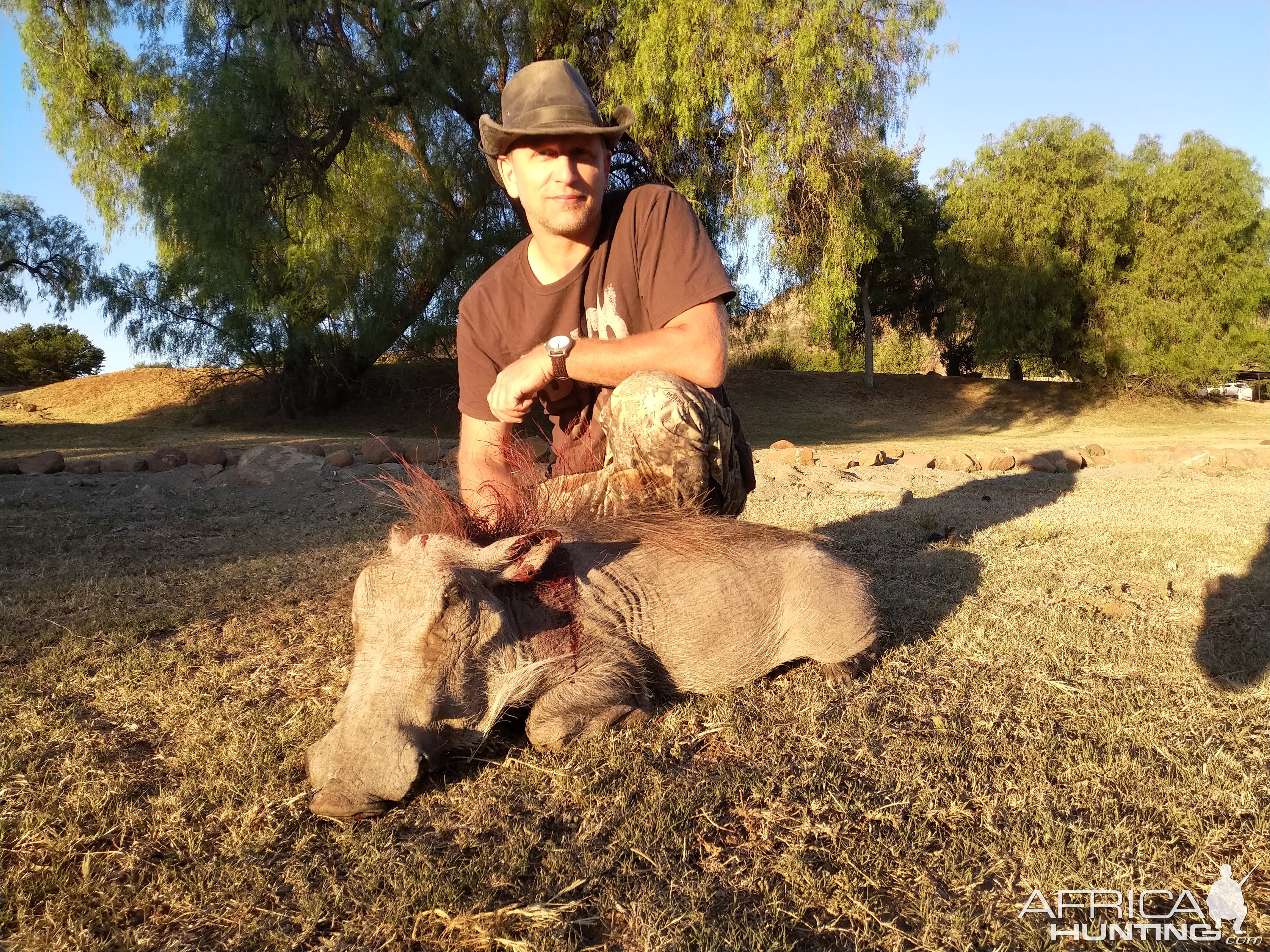 Hunting Warthog in South Africa