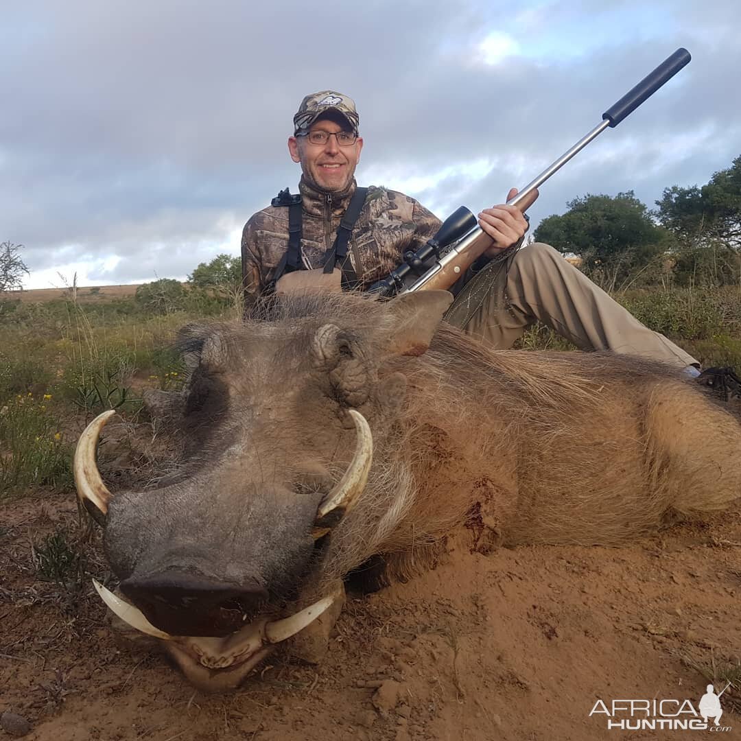 Hunting Warthog in South Africa