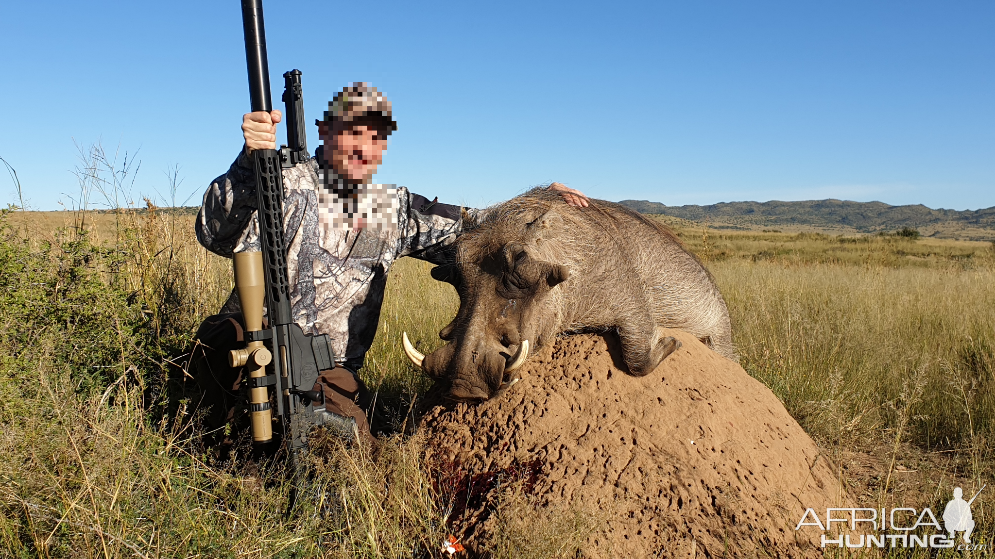 Hunting Warthog in South Africa