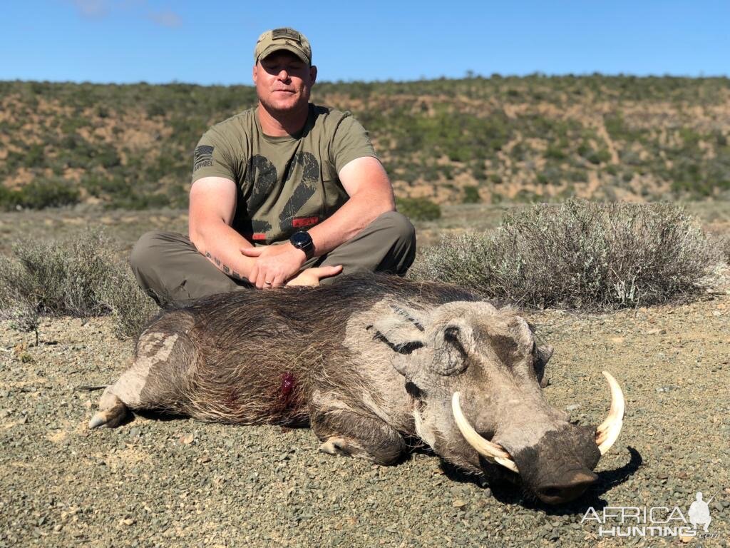 Hunting Warthog in South Africa