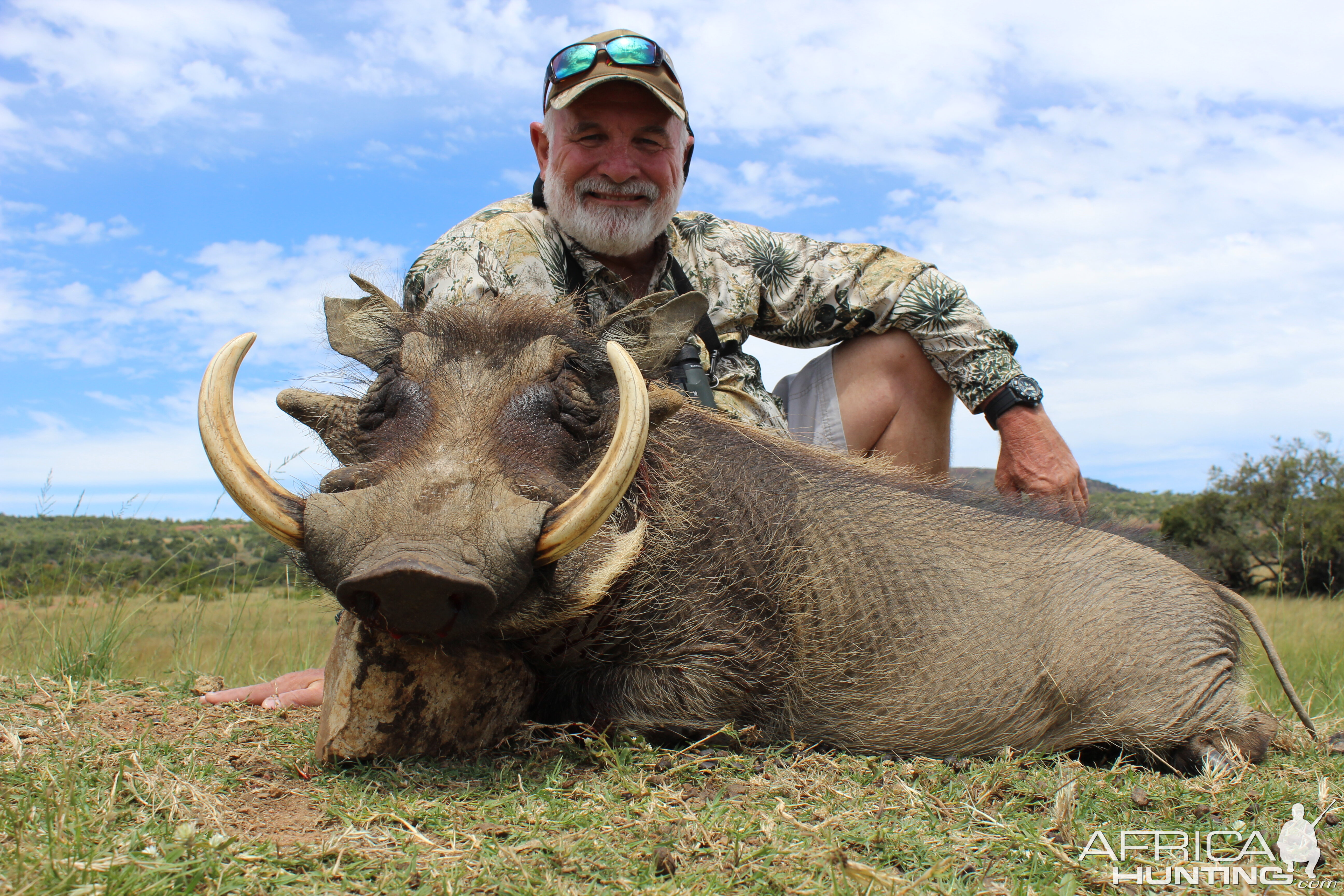 Hunting Warthog South Africa