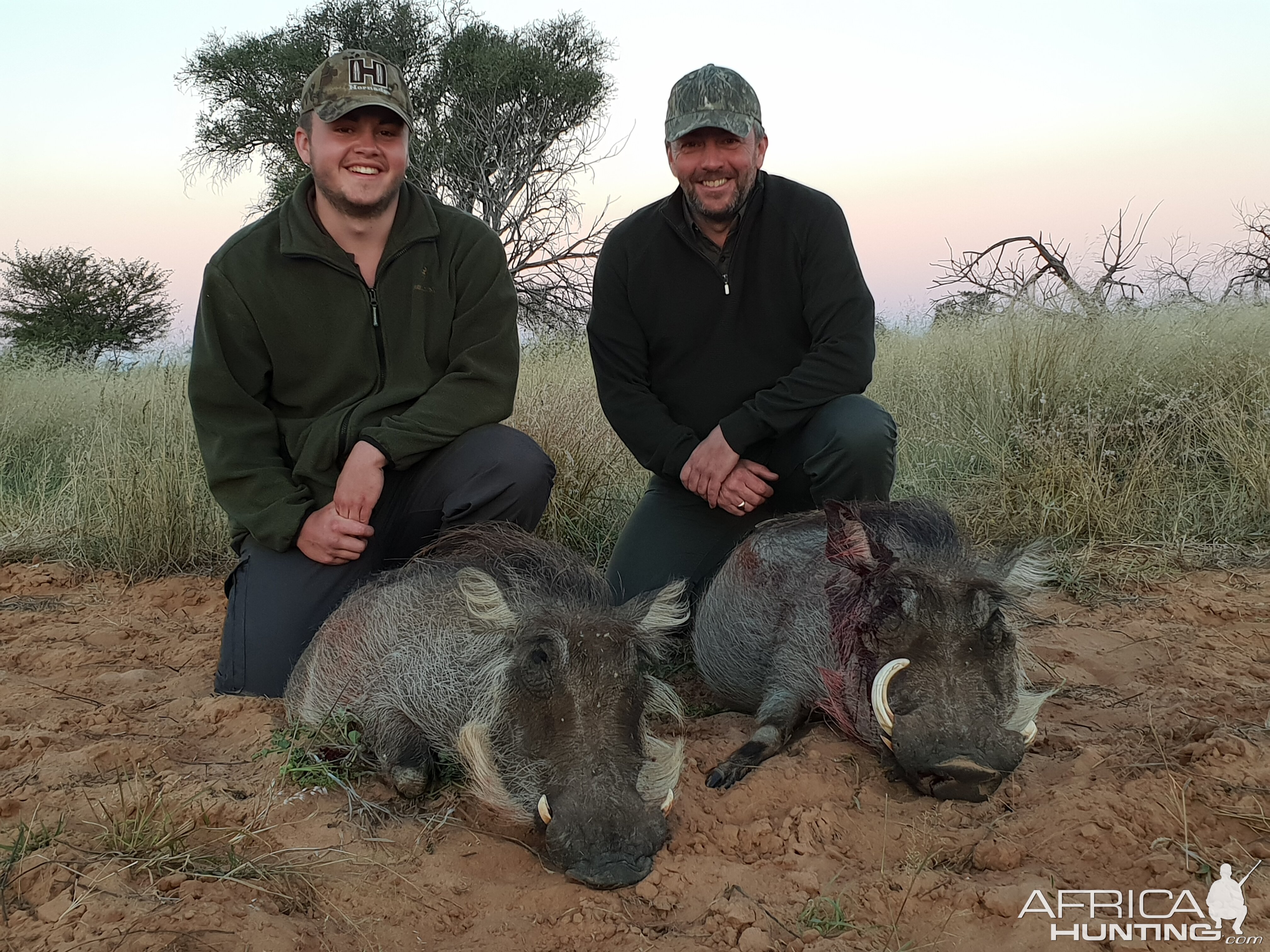 Hunting Warthog South Africa