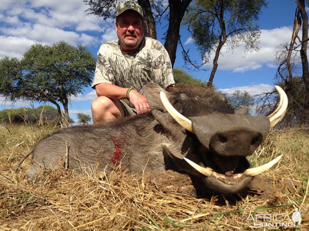 Hunting Warthog Zimbabwe