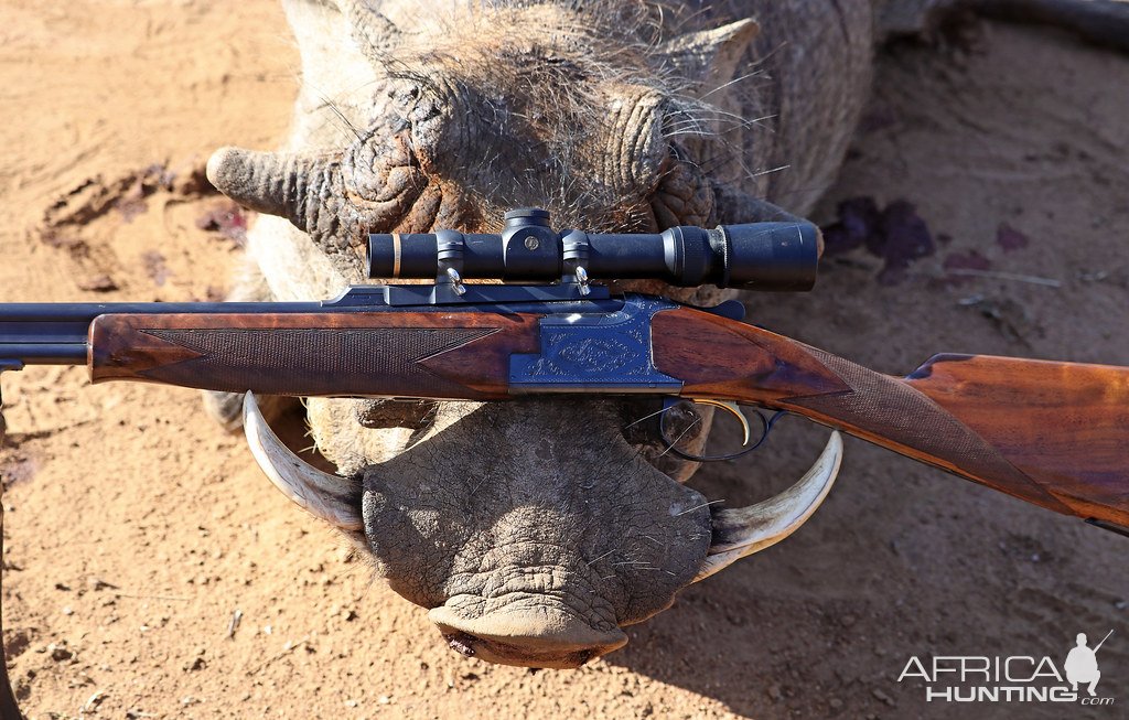 Hunting Warthog