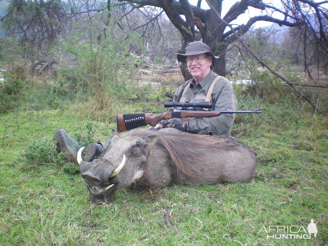 Hunting Warthog