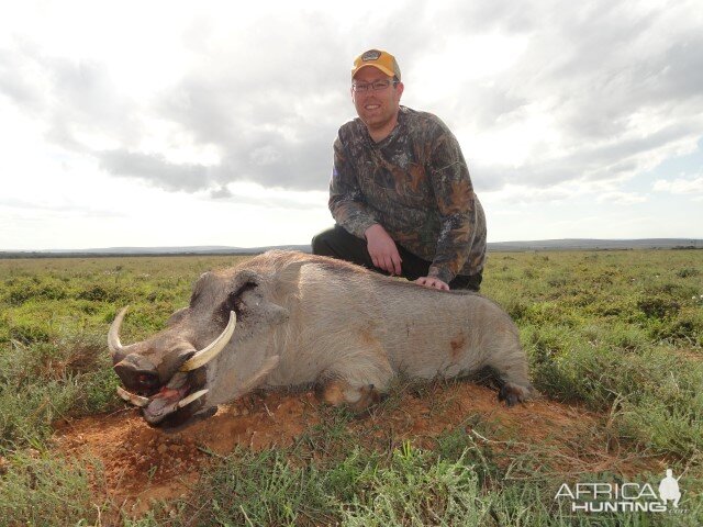 Hunting Warthog