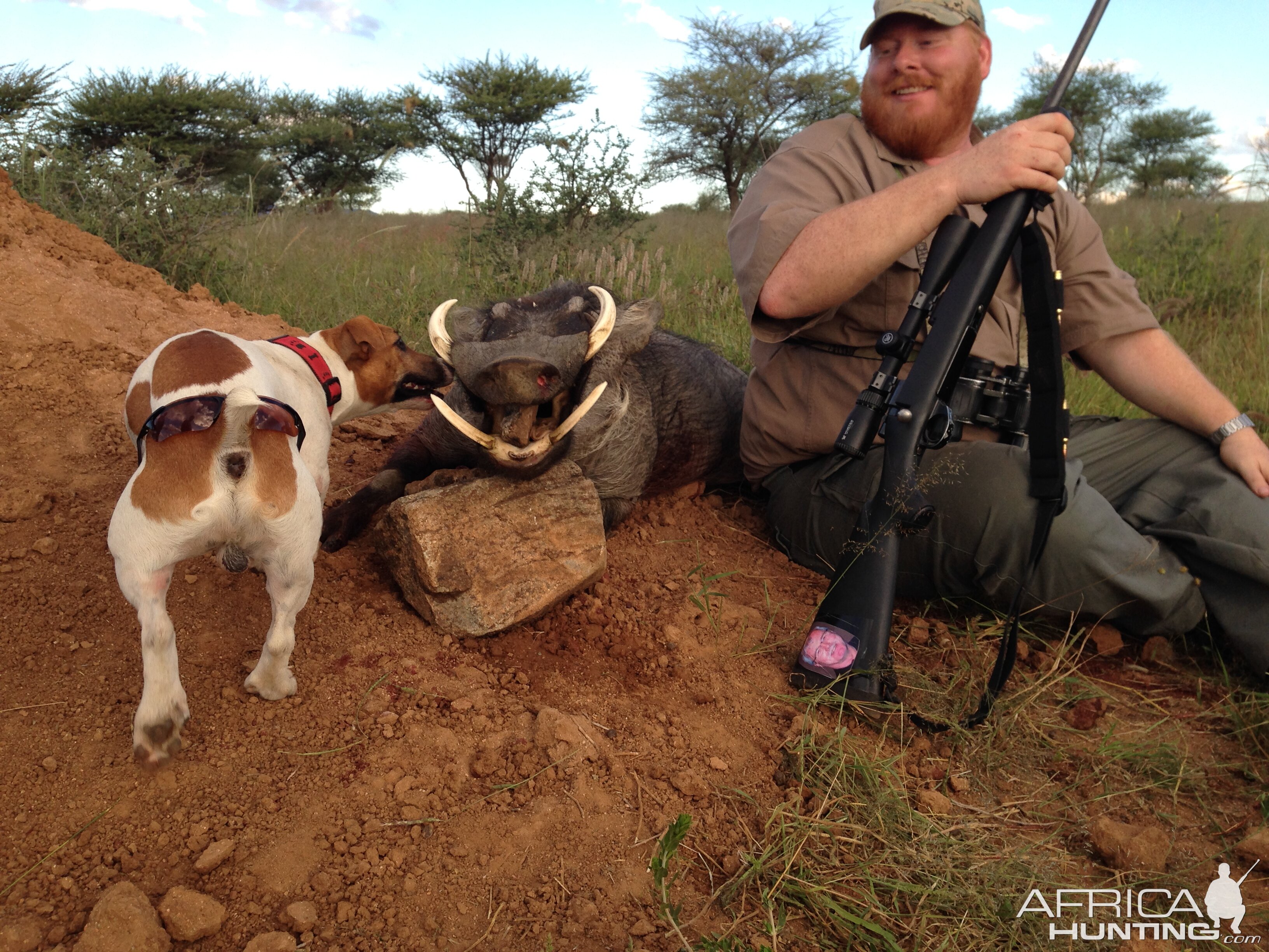 Hunting Warthog