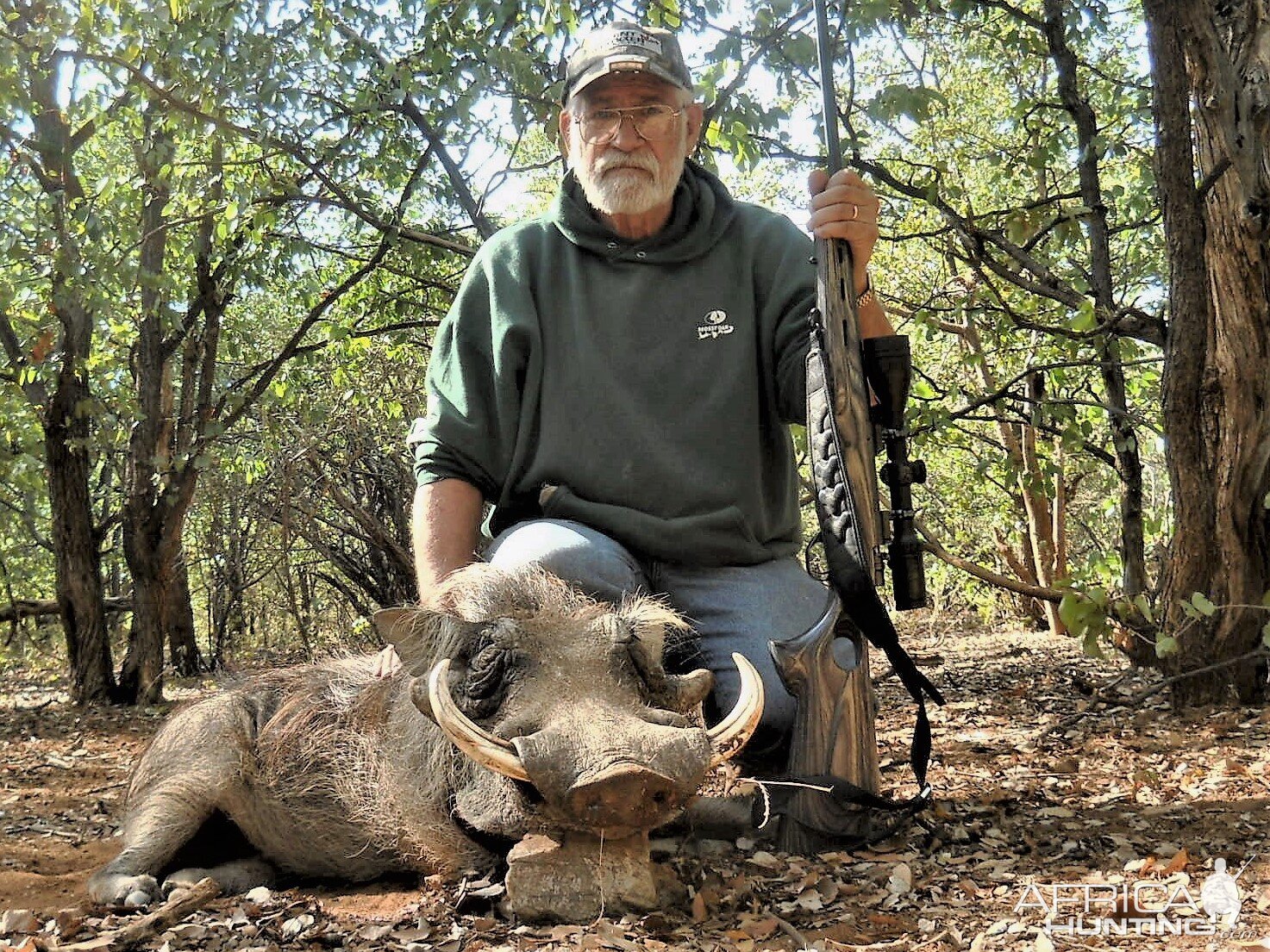 Hunting Warthog