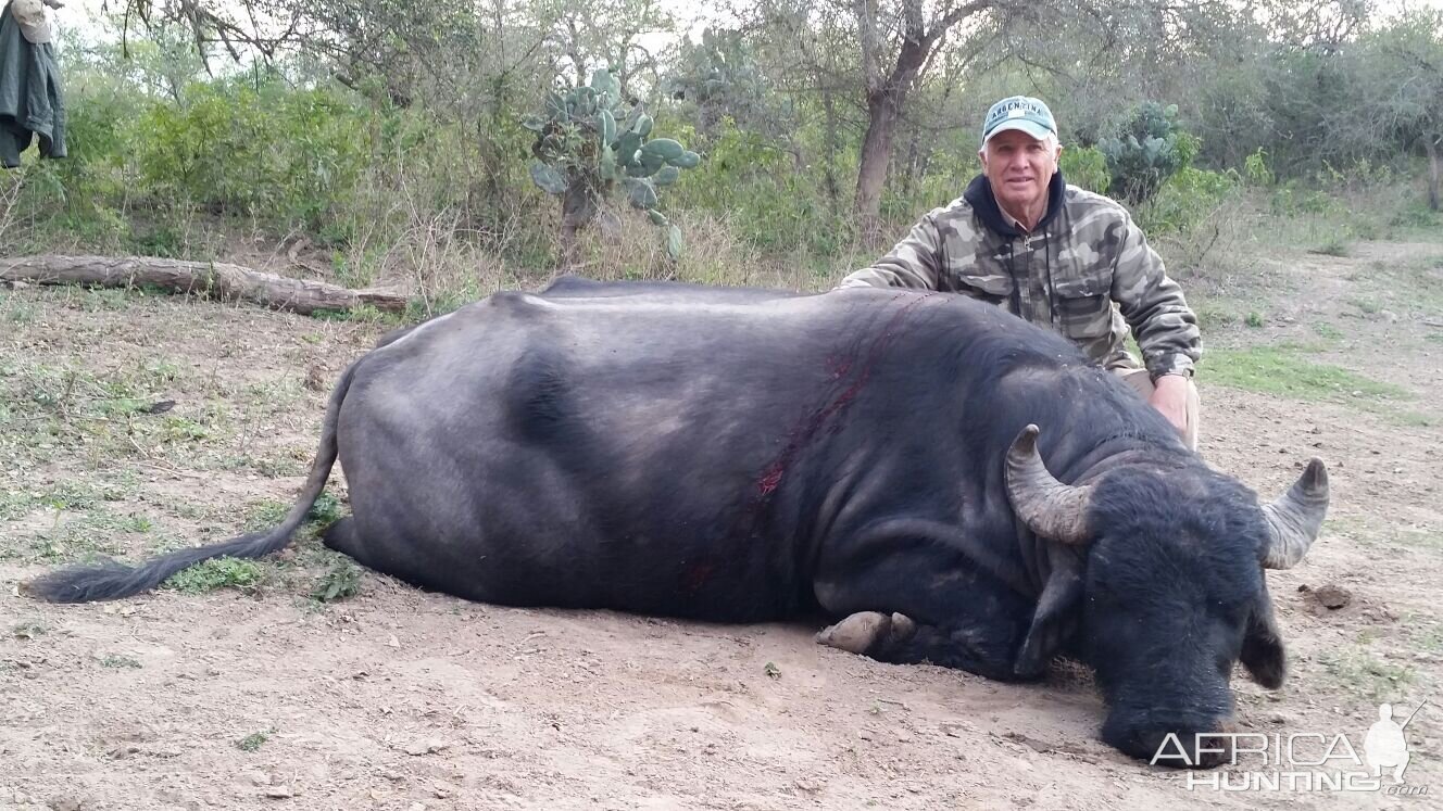 Hunting Water Buffalo in Argentina