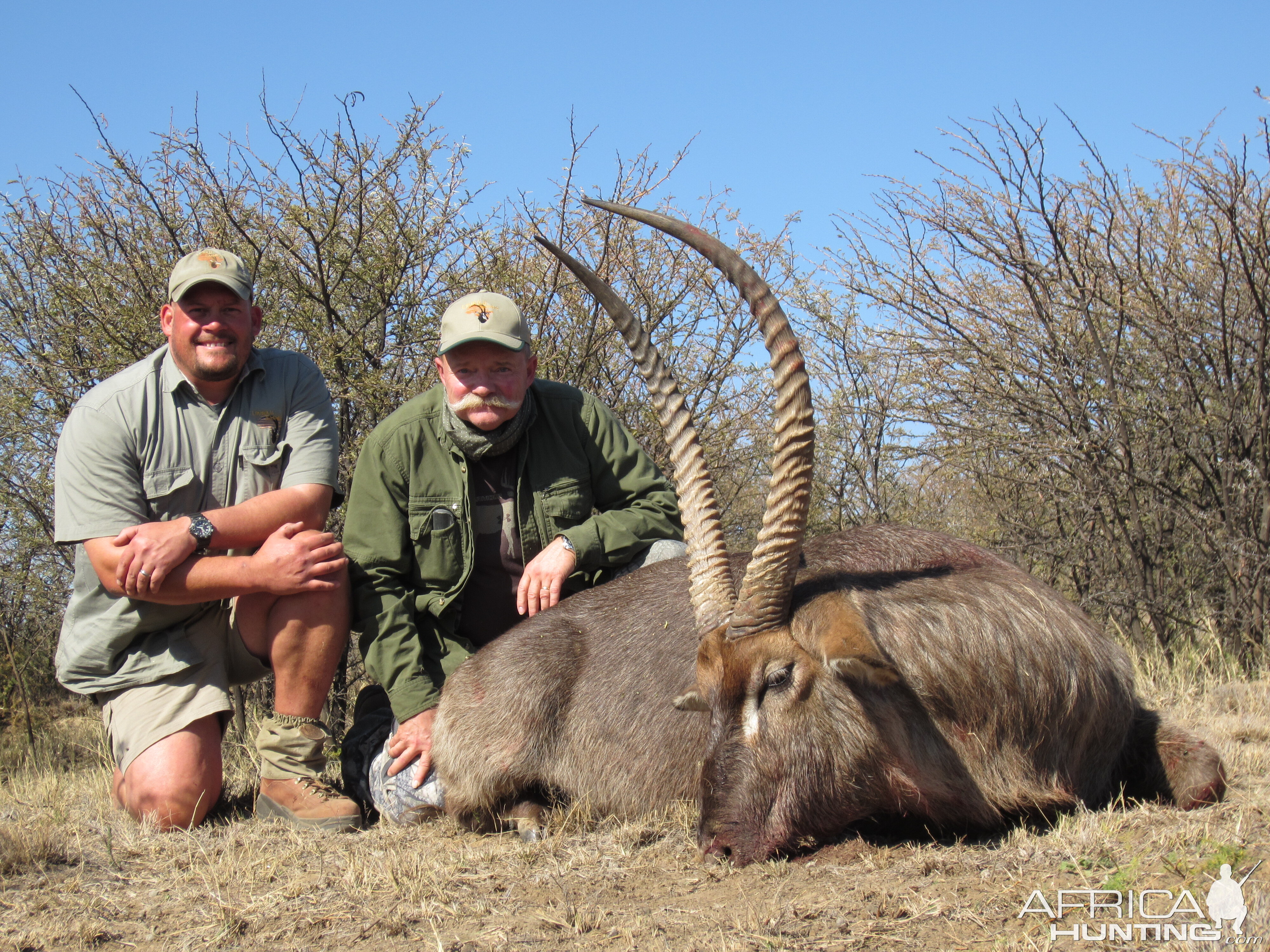 Hunting Waterbuck in South Africa