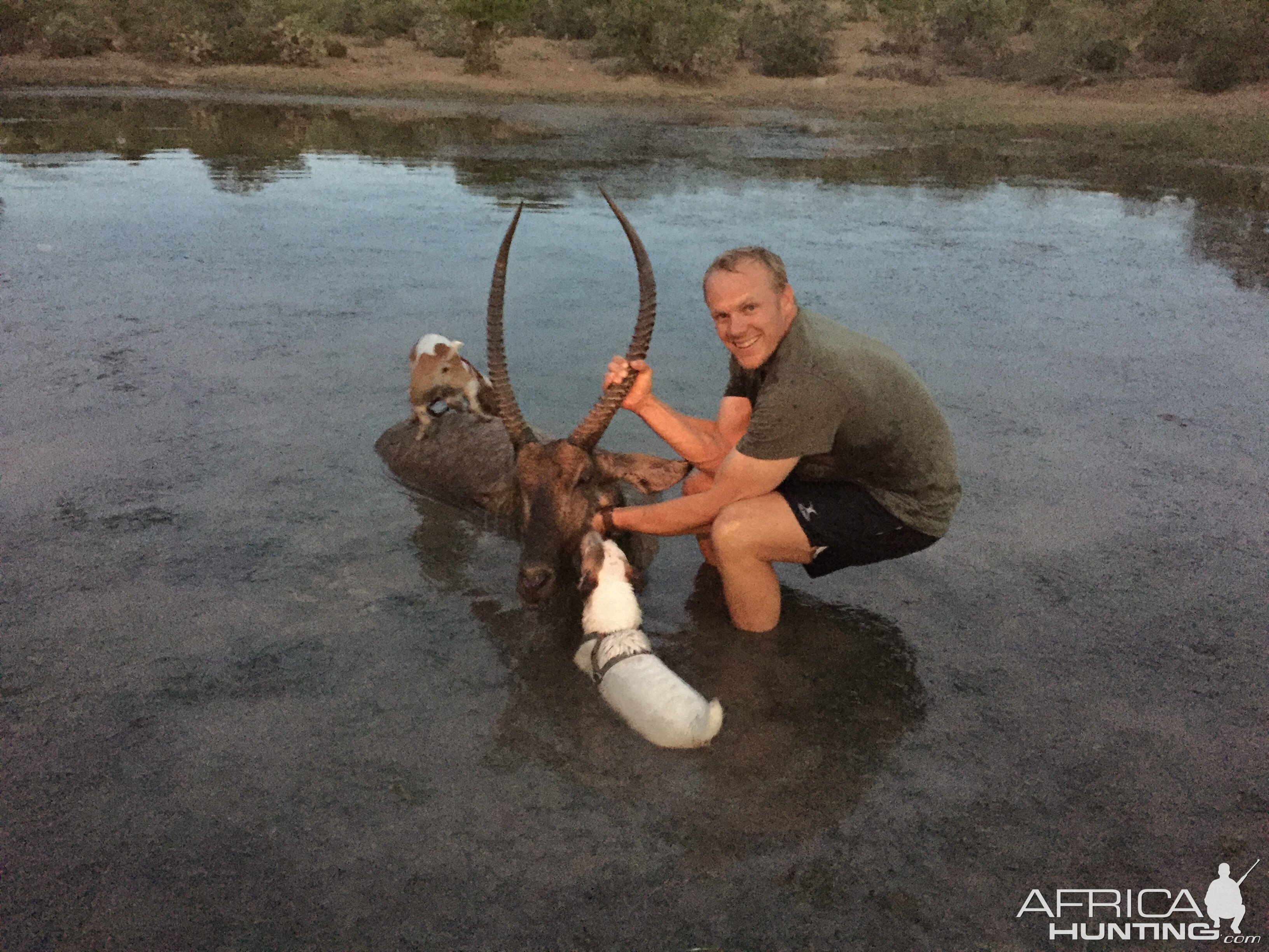 Hunting Waterbuck in South Africa