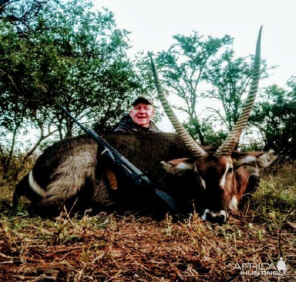 Hunting Waterbuck in South Africa