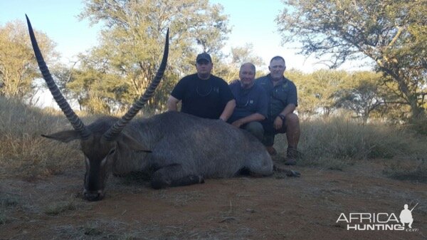 Hunting Waterbuck in South Africa