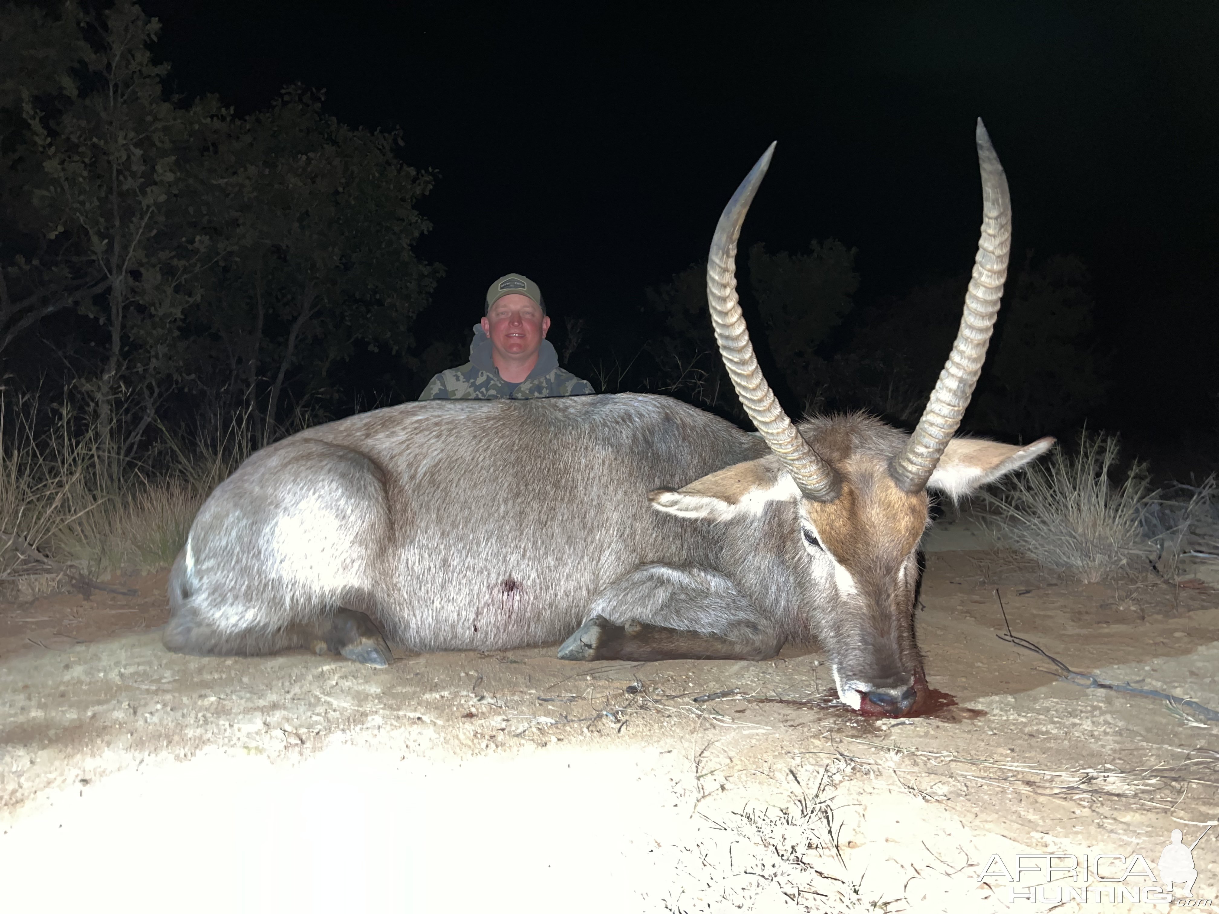 Hunting Waterbuck