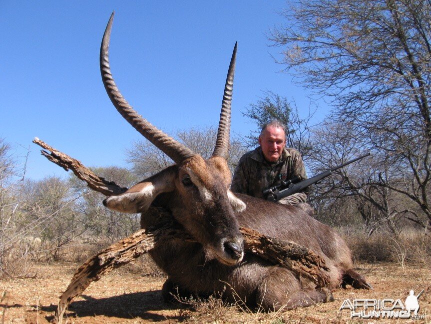 Hunting Waterbuck