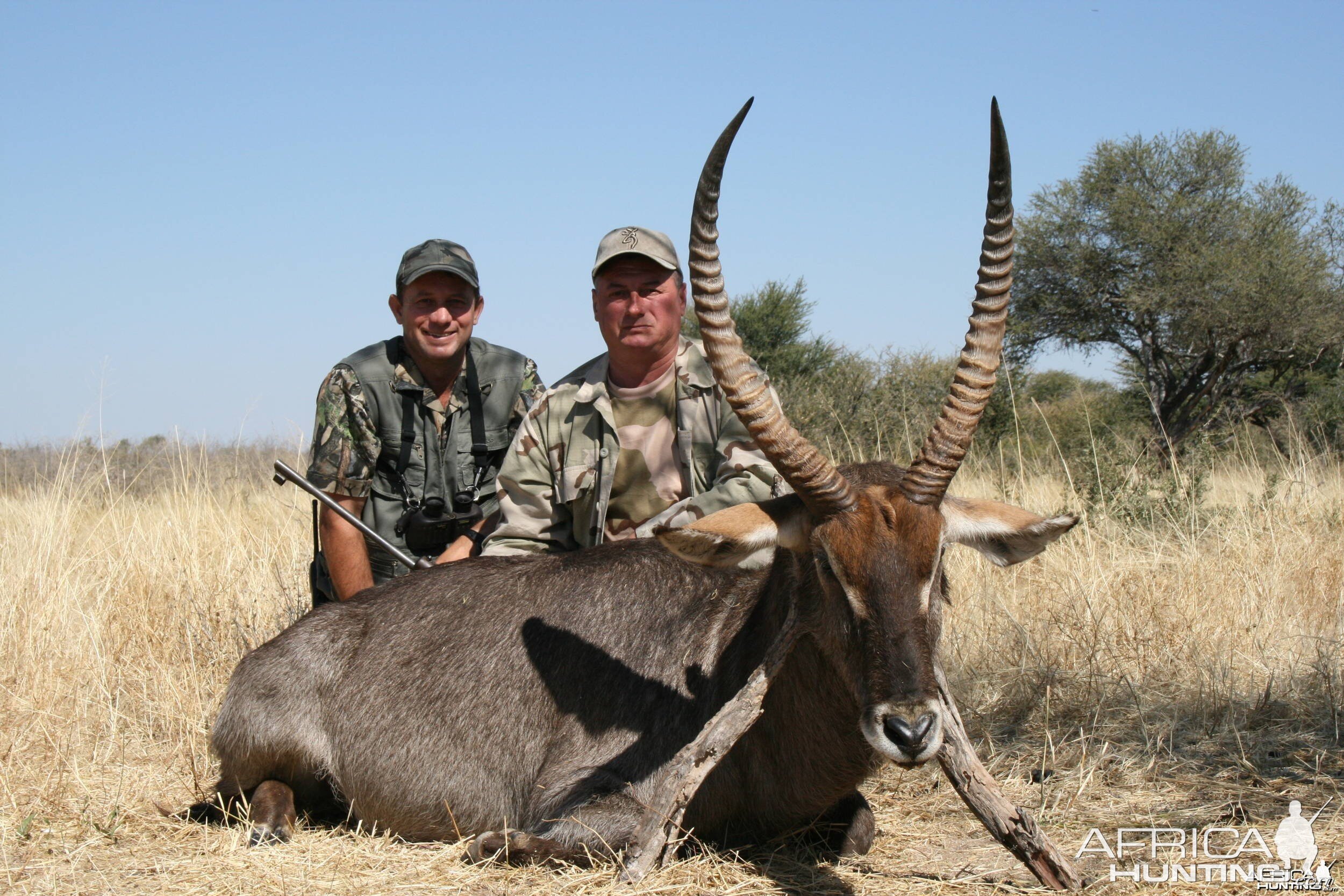 Hunting Waterbuck