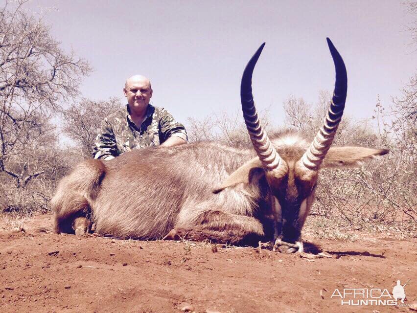 Hunting Waterbuck