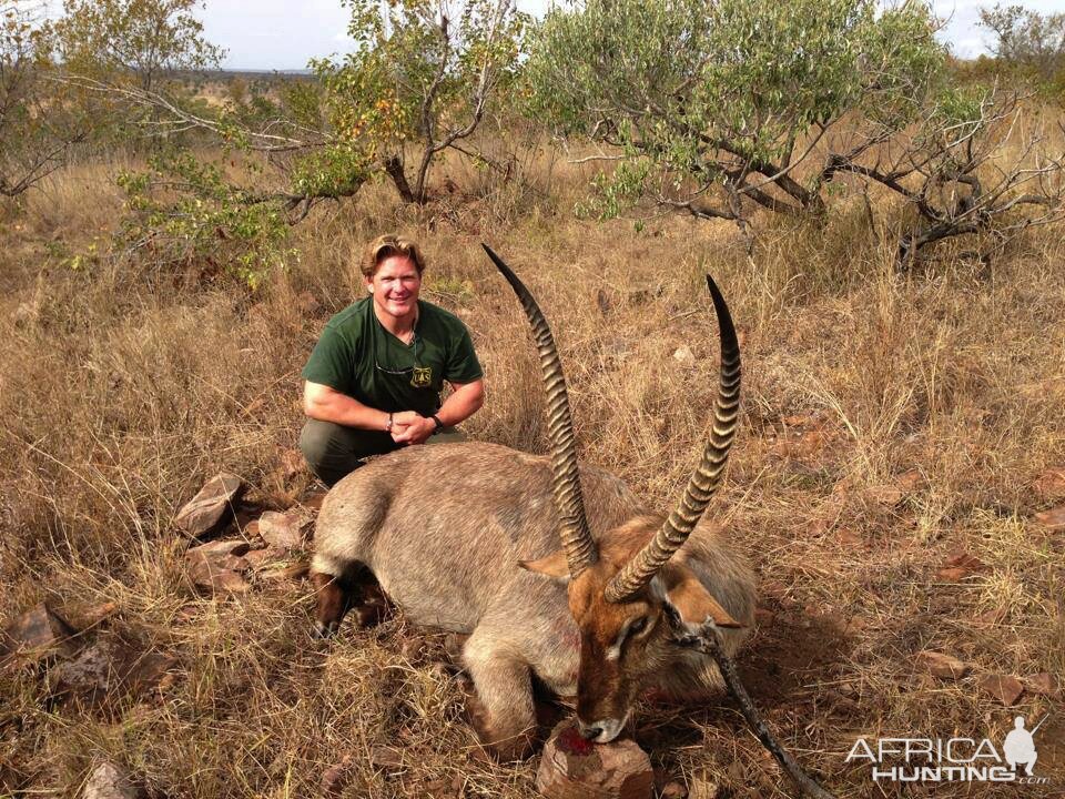 Hunting Waterbuck