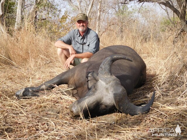 Hunting West African Savanna Buffalo Burkina Faso