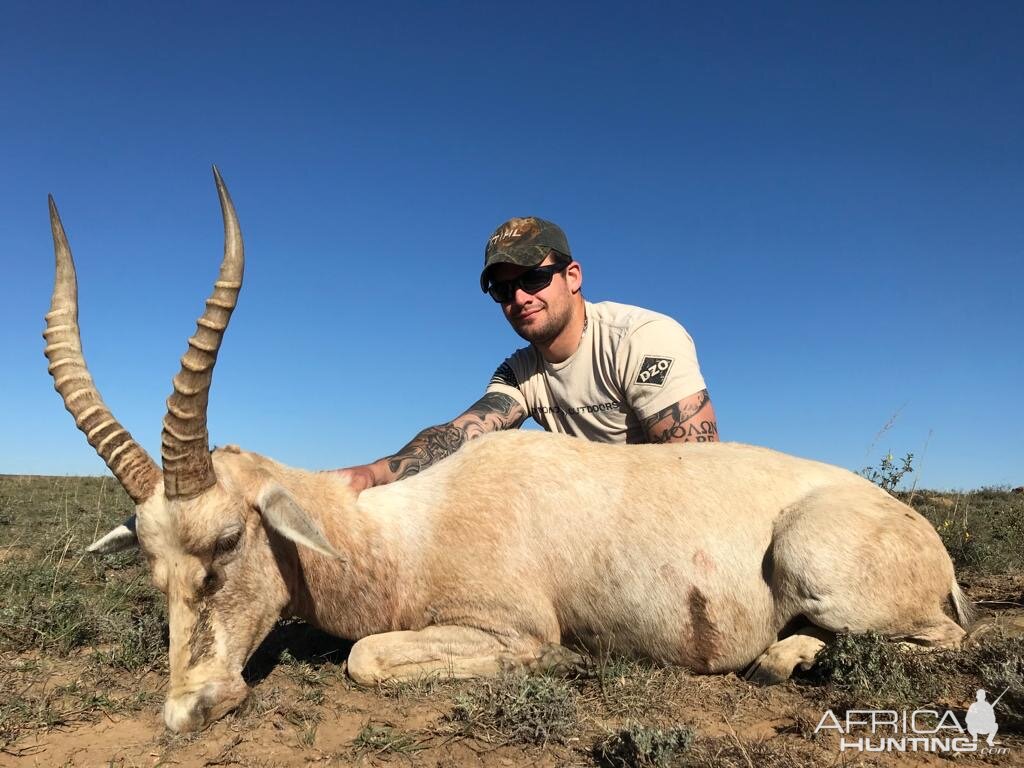 Hunting White Blesbok in South Africa