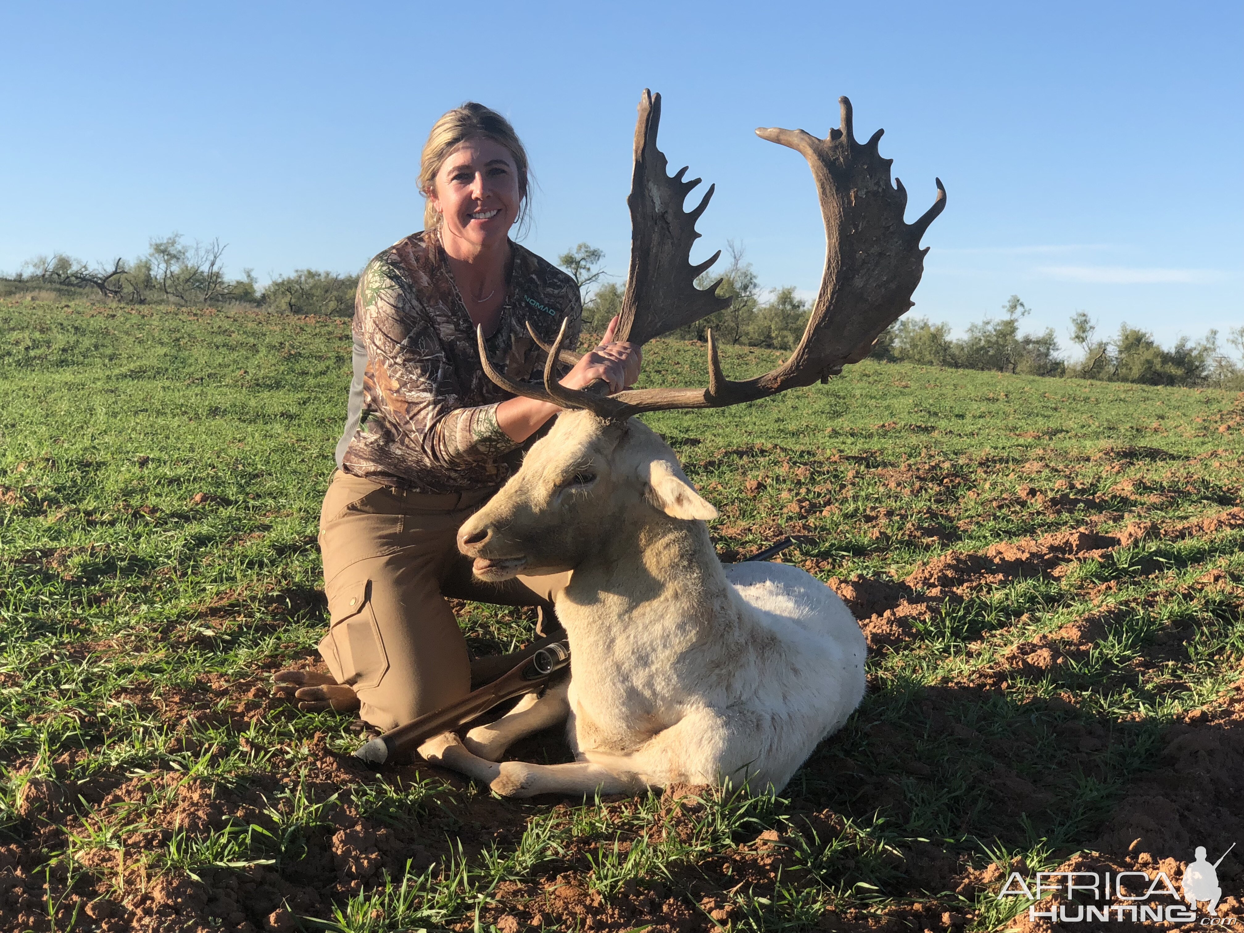 hunting-white-fallow-deer-in-texas-usa-africahunting