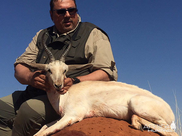 Hunting White Springbok in South Africa