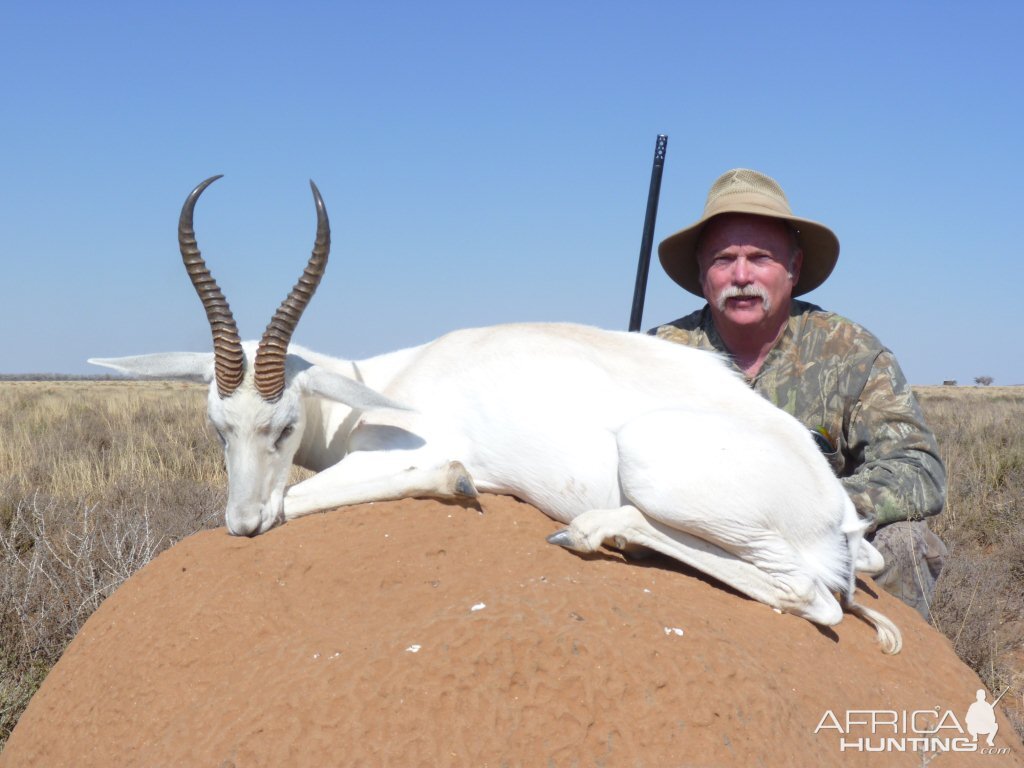 Hunting White Springbuck with Wintershoek Johnny Vivier Safaris in SA