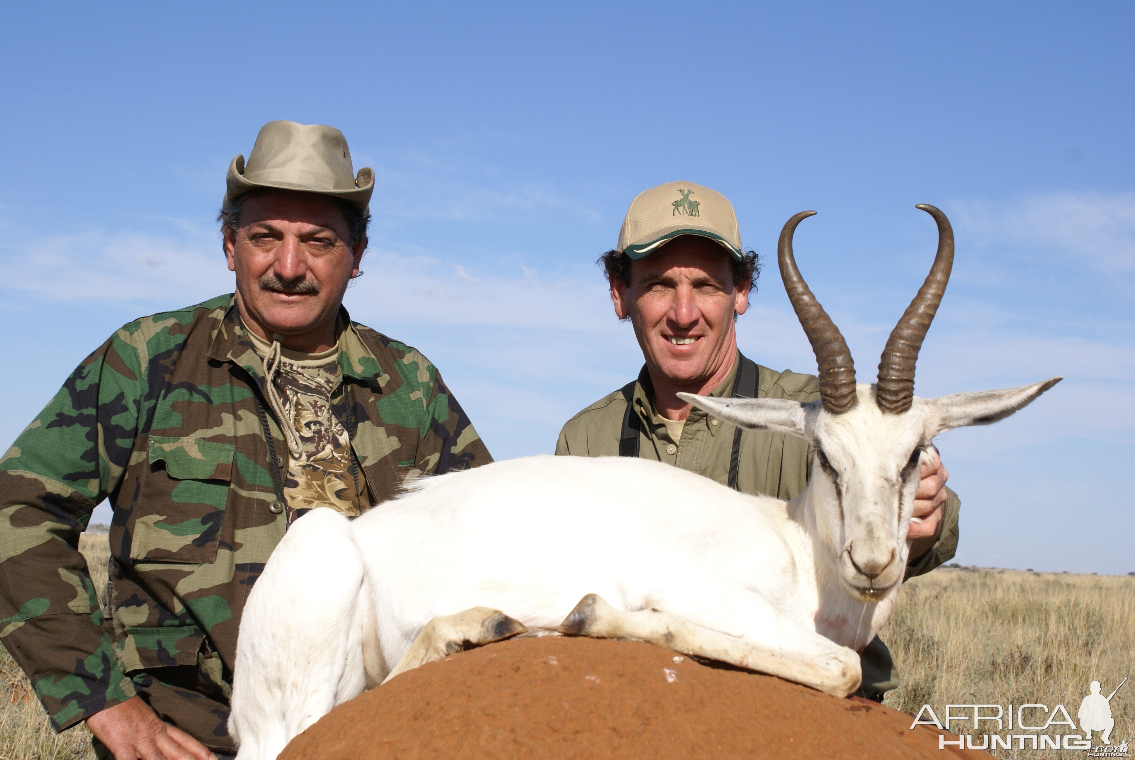 Hunting White Springbuck with Wintershoek Johnny Vivier Safaris in SA