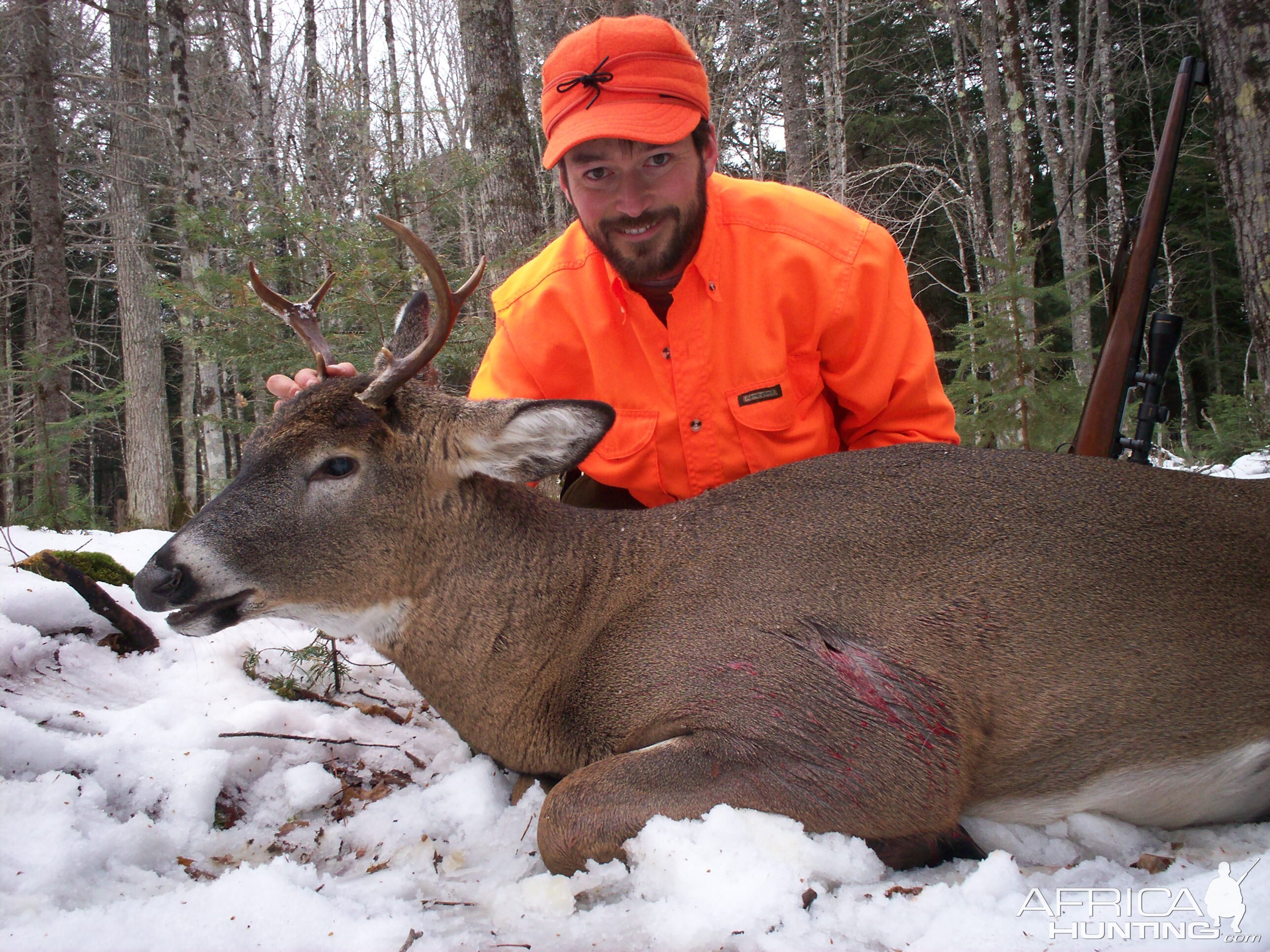 Hunting White-tailed Deer in USA