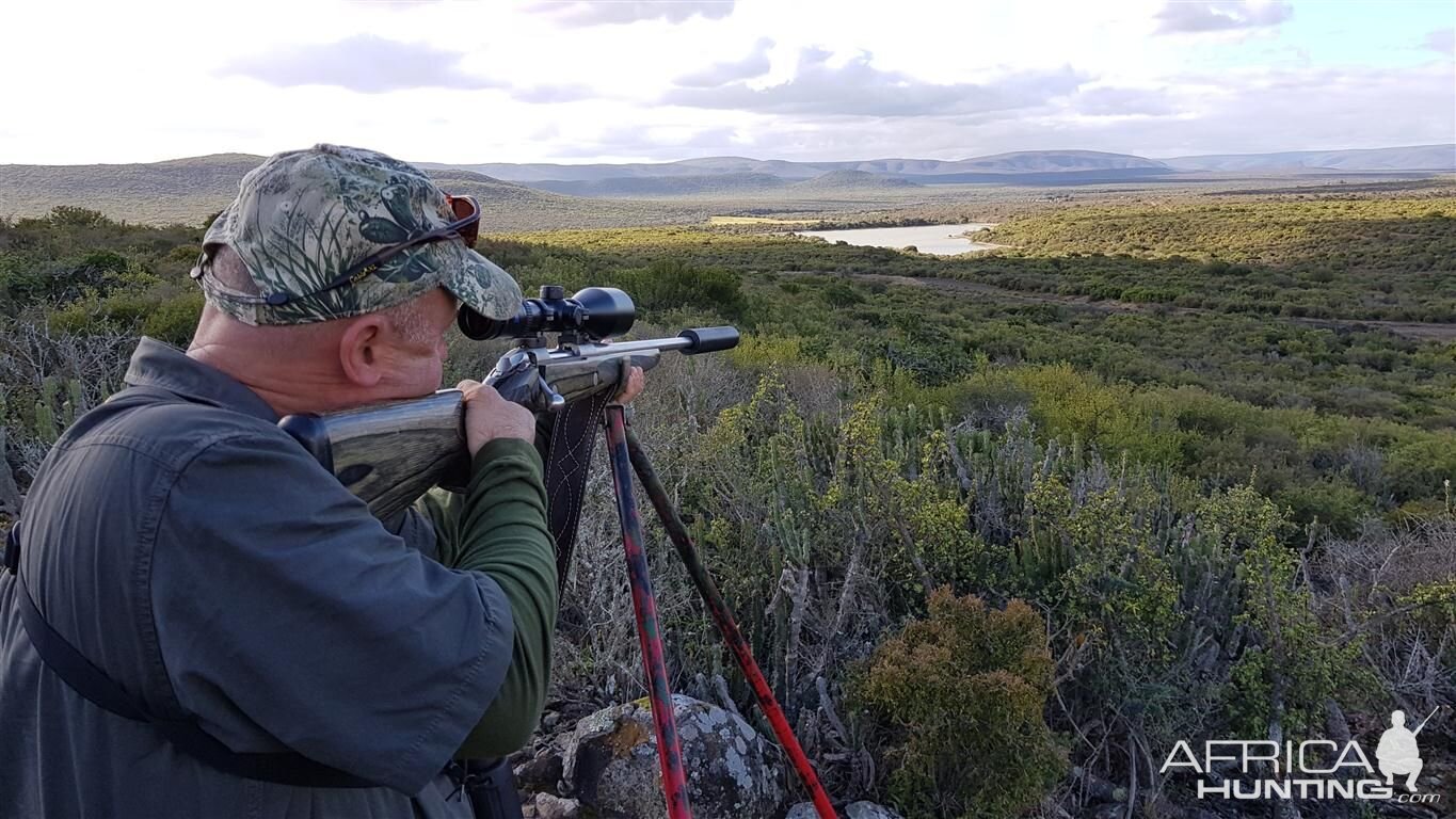 Hunting with Shooting Stick