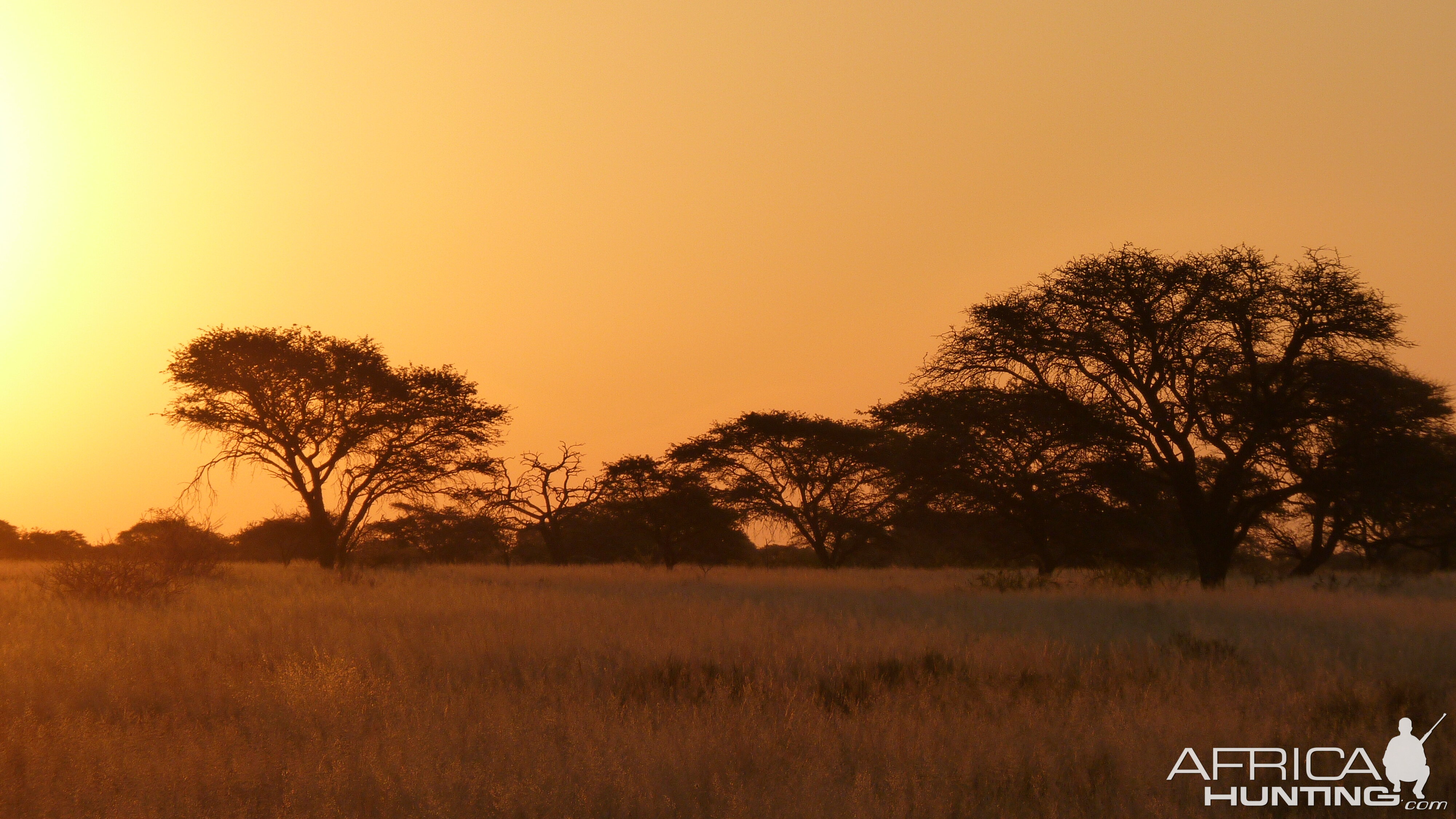 Hunting with Wintershoek Johnny Vivier Safaris in South Africa