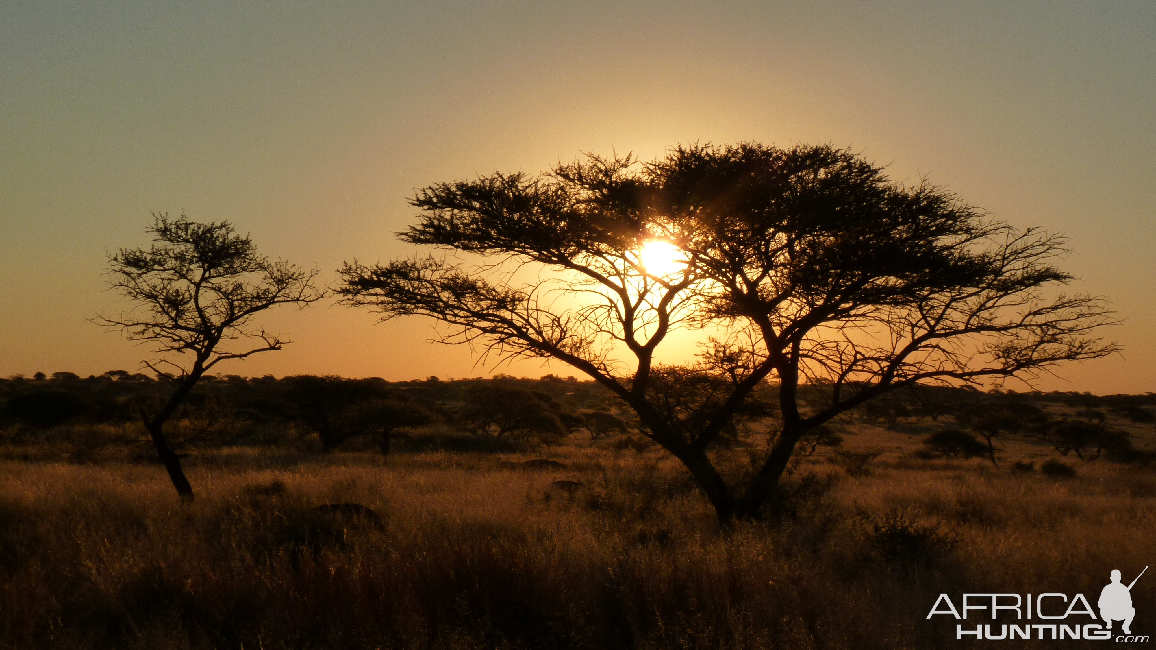 Hunting with Wintershoek Johnny Vivier Safaris in South Africa