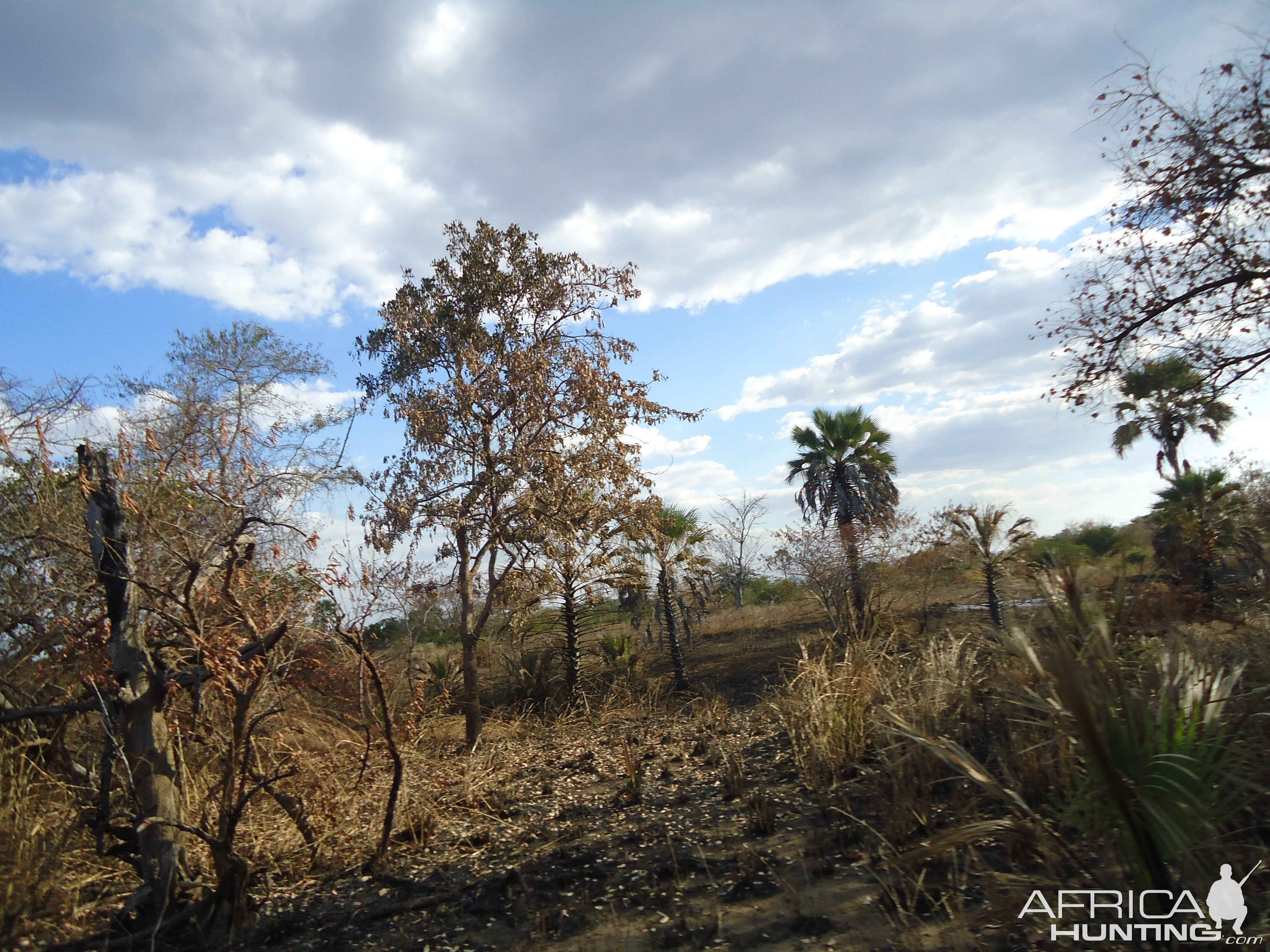 Hunting Zambia