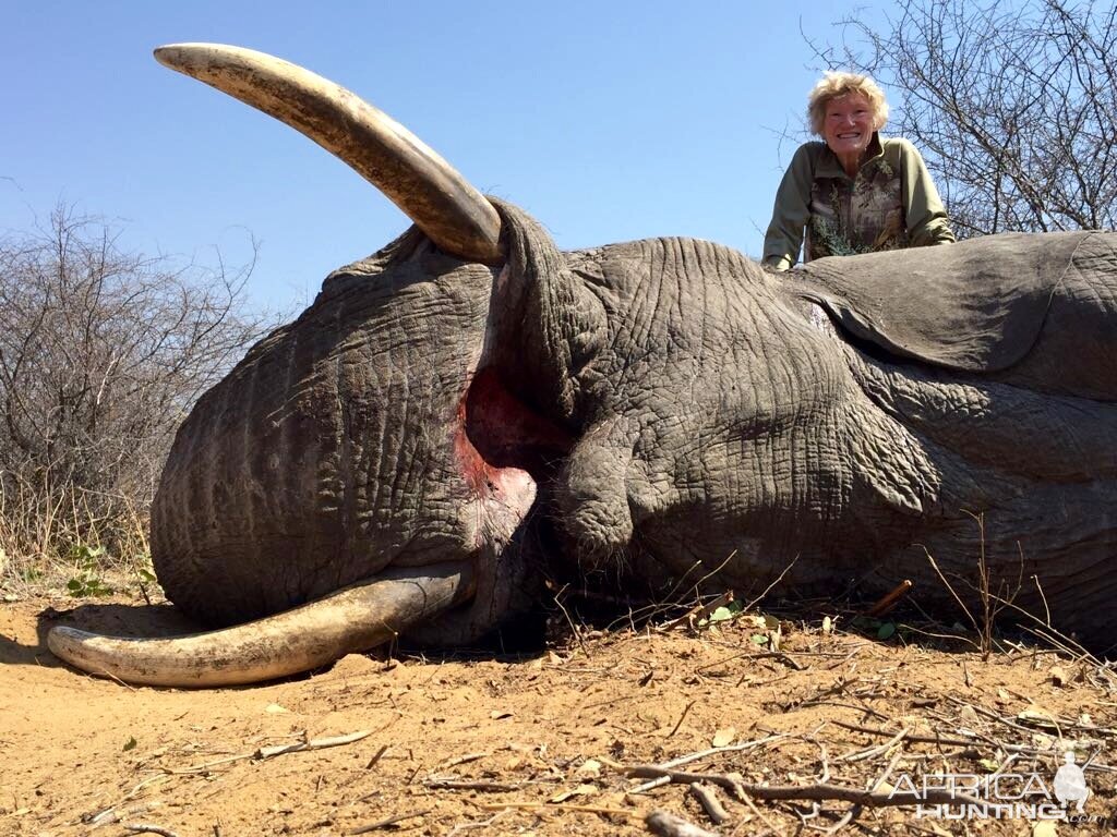 Hunting Zimbabwe Elephant