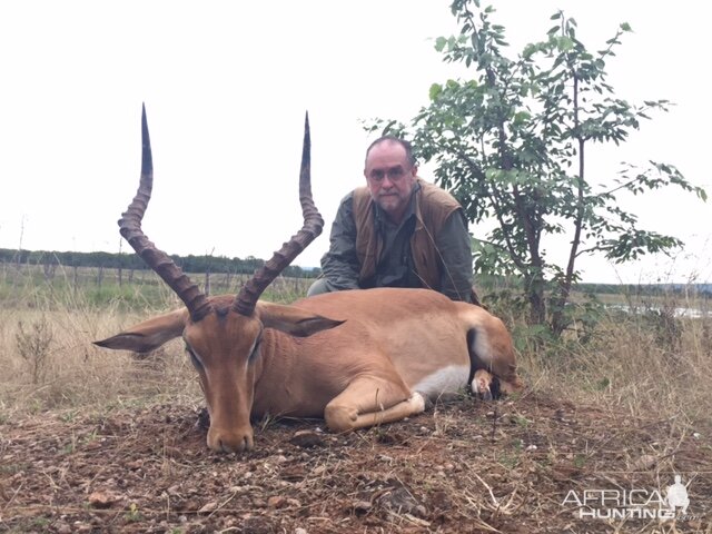 Hunting Zimbabwe Impala