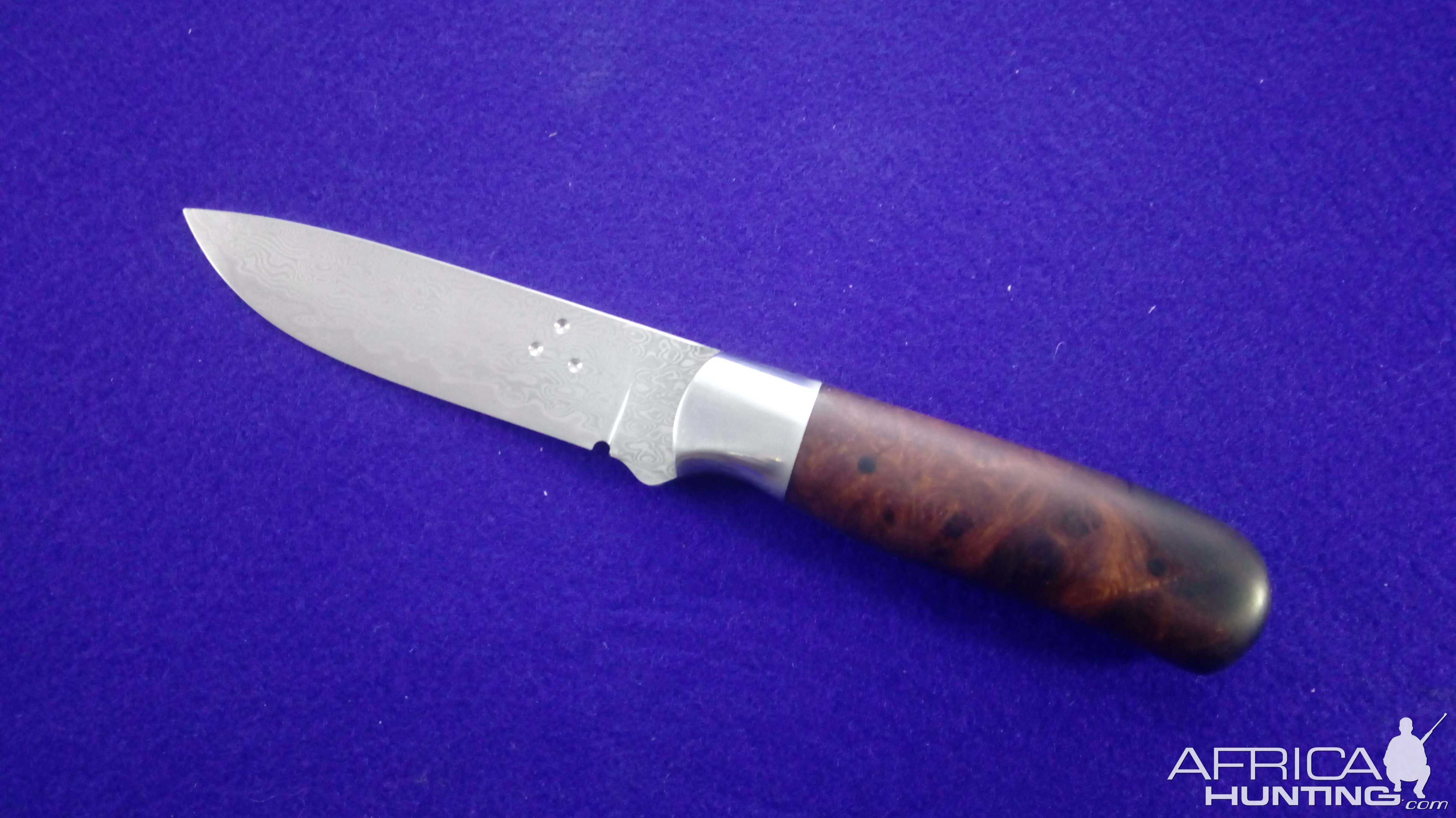 Hybrid Hunter Knife with Desert Ironwood