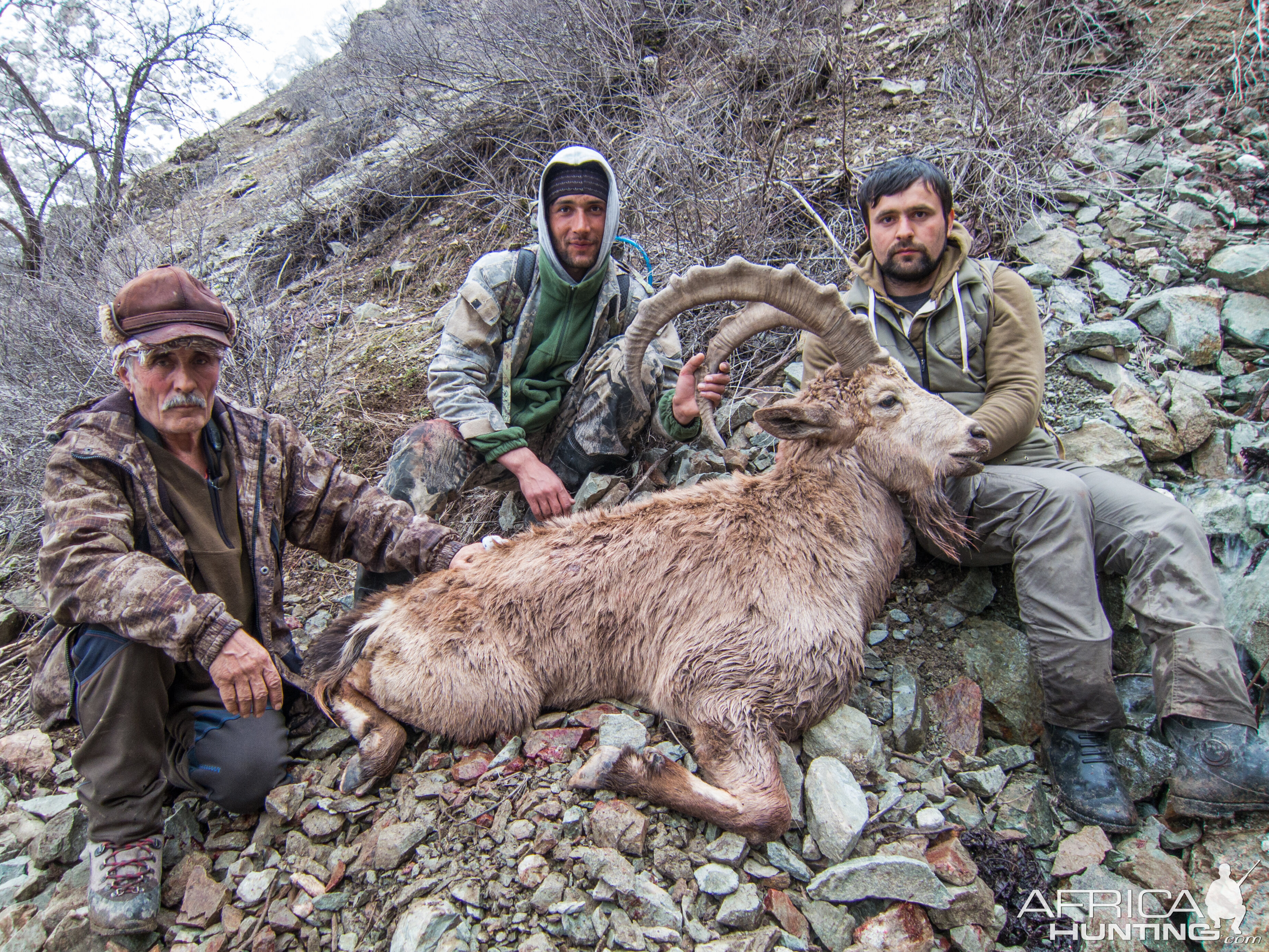 Ibex Hunt Tadjikistan