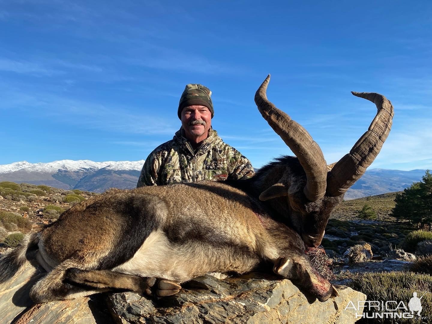 Ibex Hunting Sierra Nevada Spain