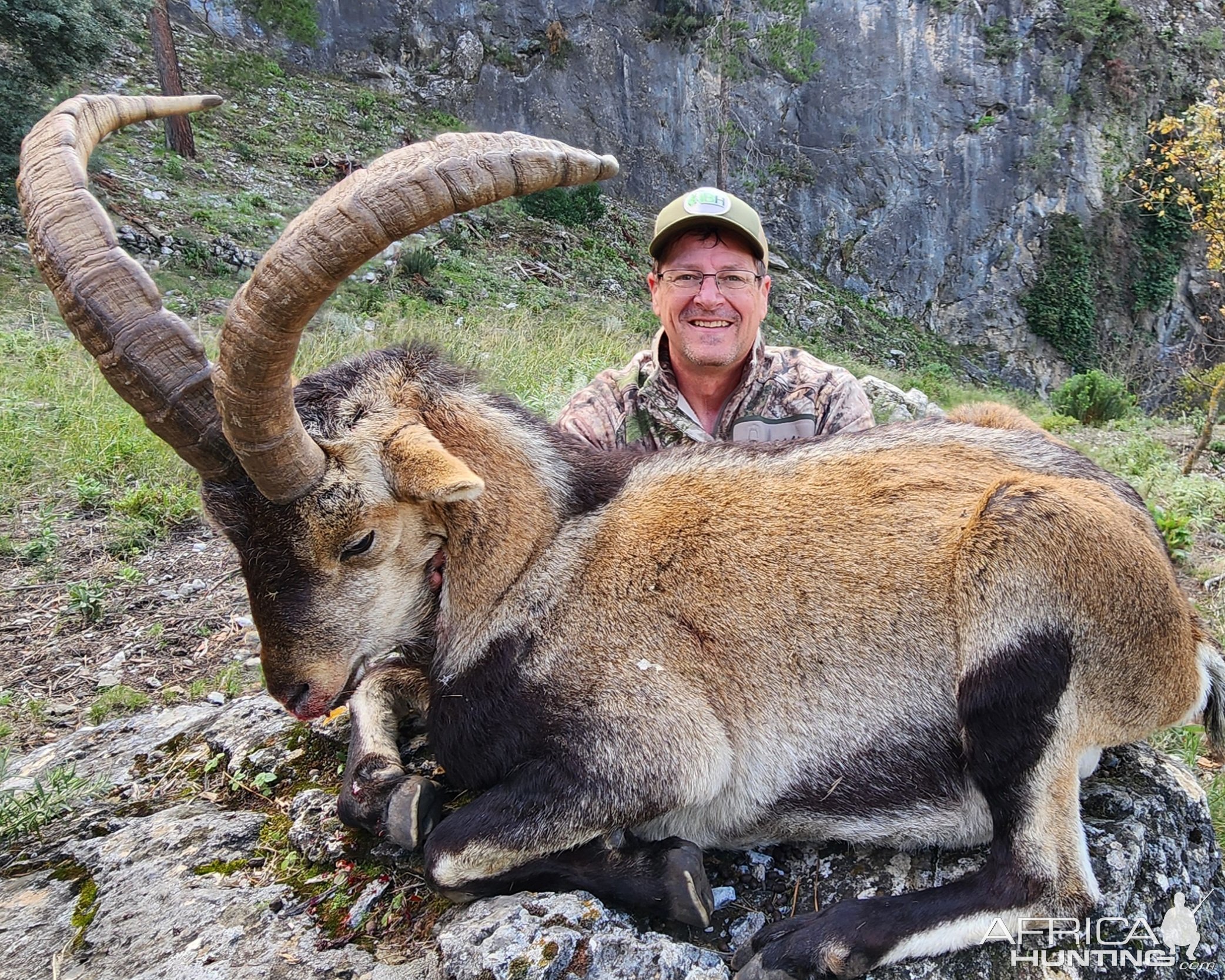 Ibex Hunting Spain