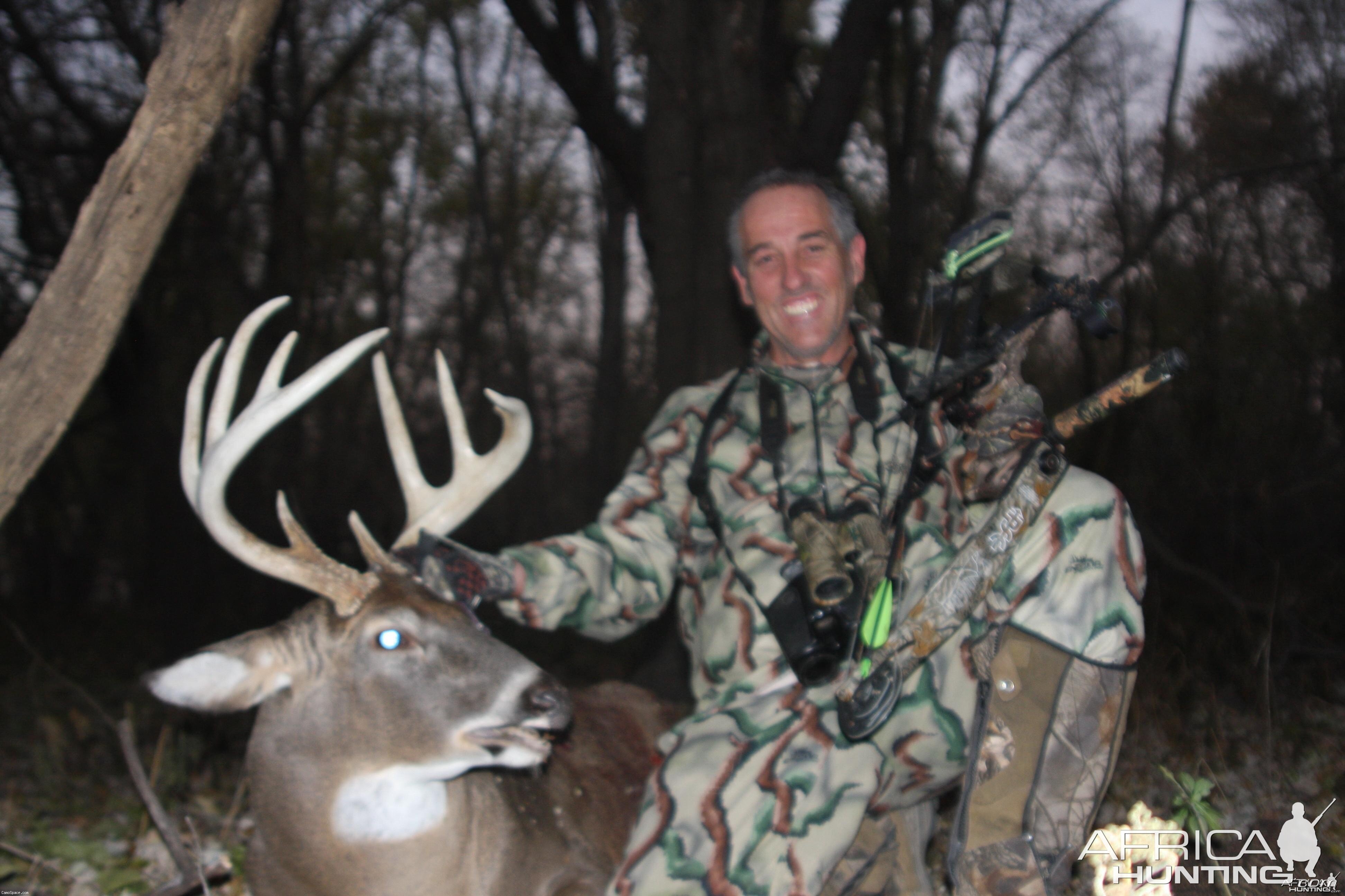 Illinois White-tailed deer