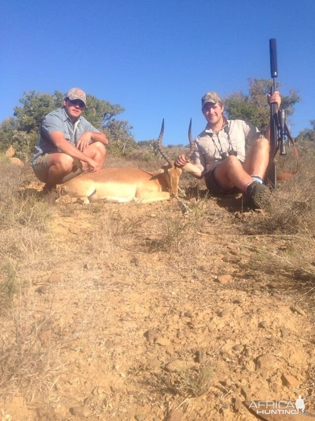 Impala 1st South African safari